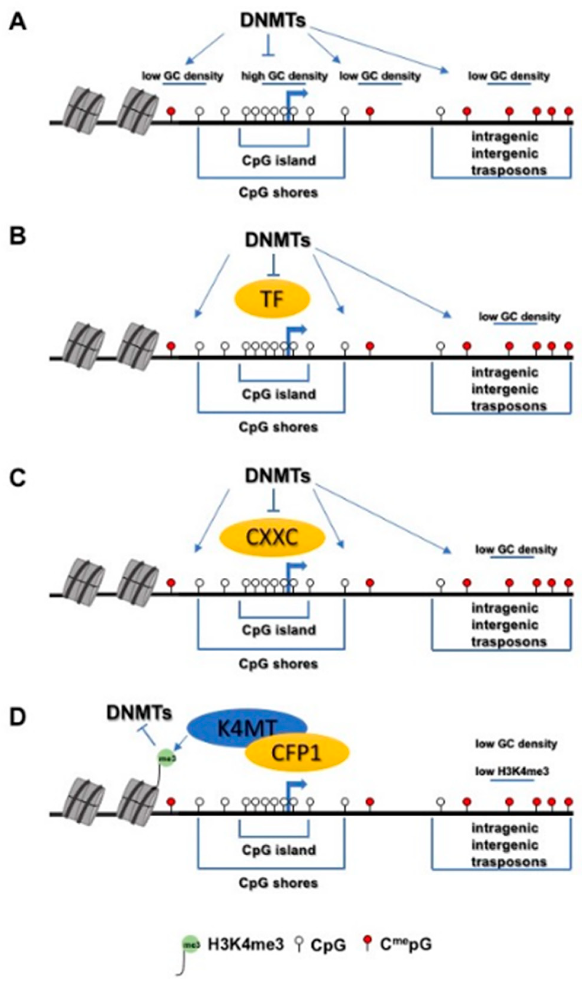 Biomolecules 11 00143 g001 Biomolecules 11 00143 g001
