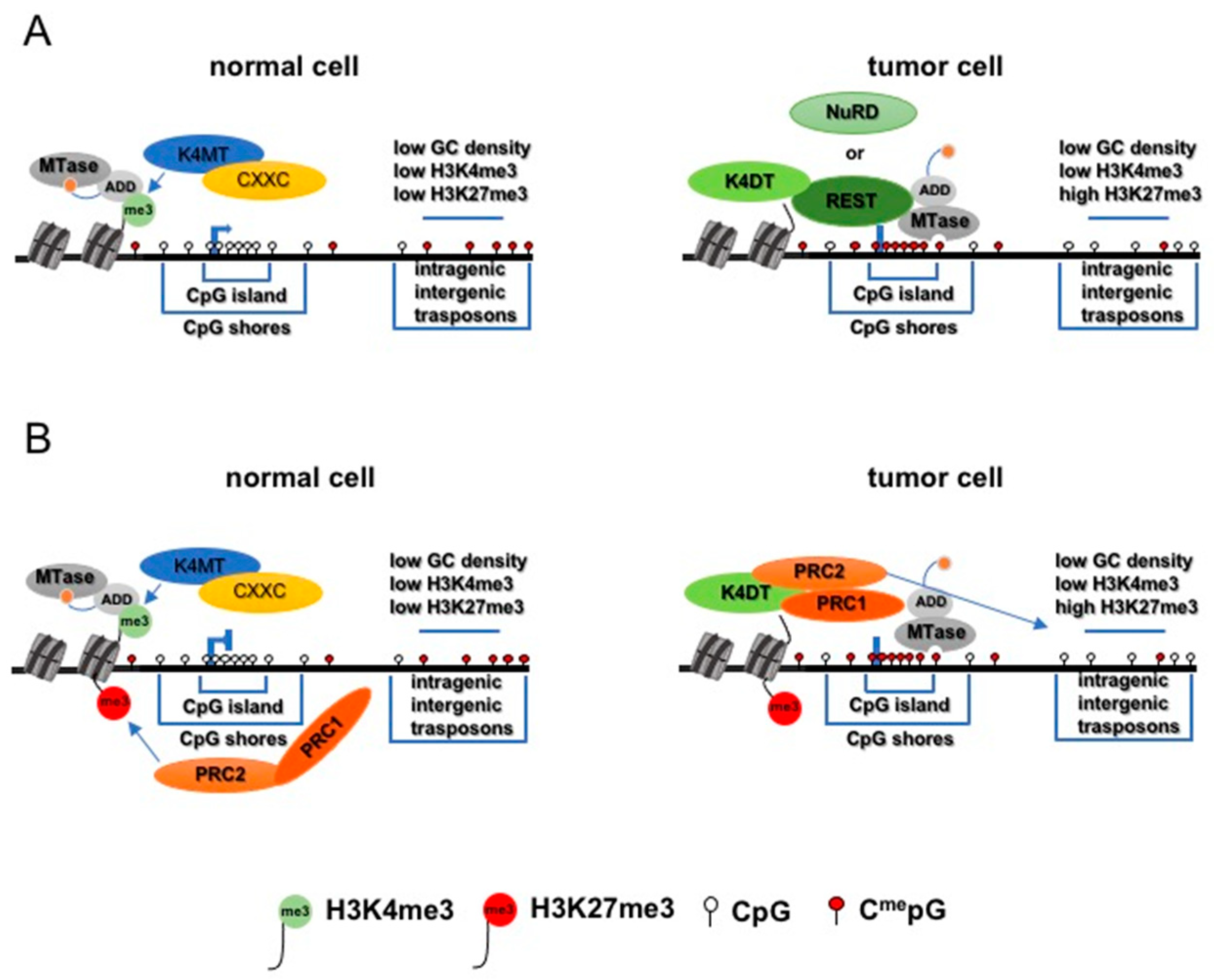 Biomolecules 11 00143 g002 Biomolecules 11 00143 g002