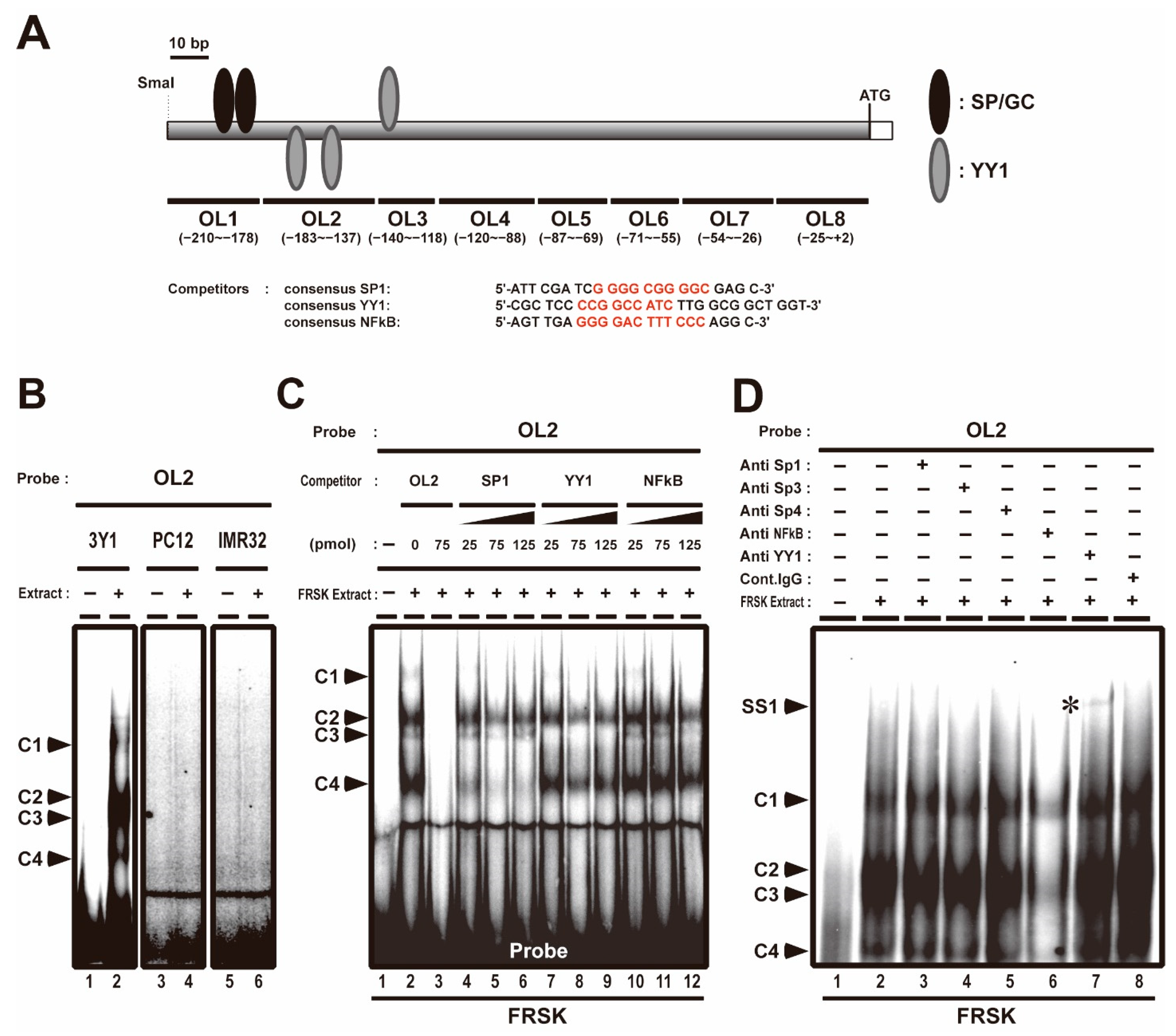Biomolecules 11 00146 g001