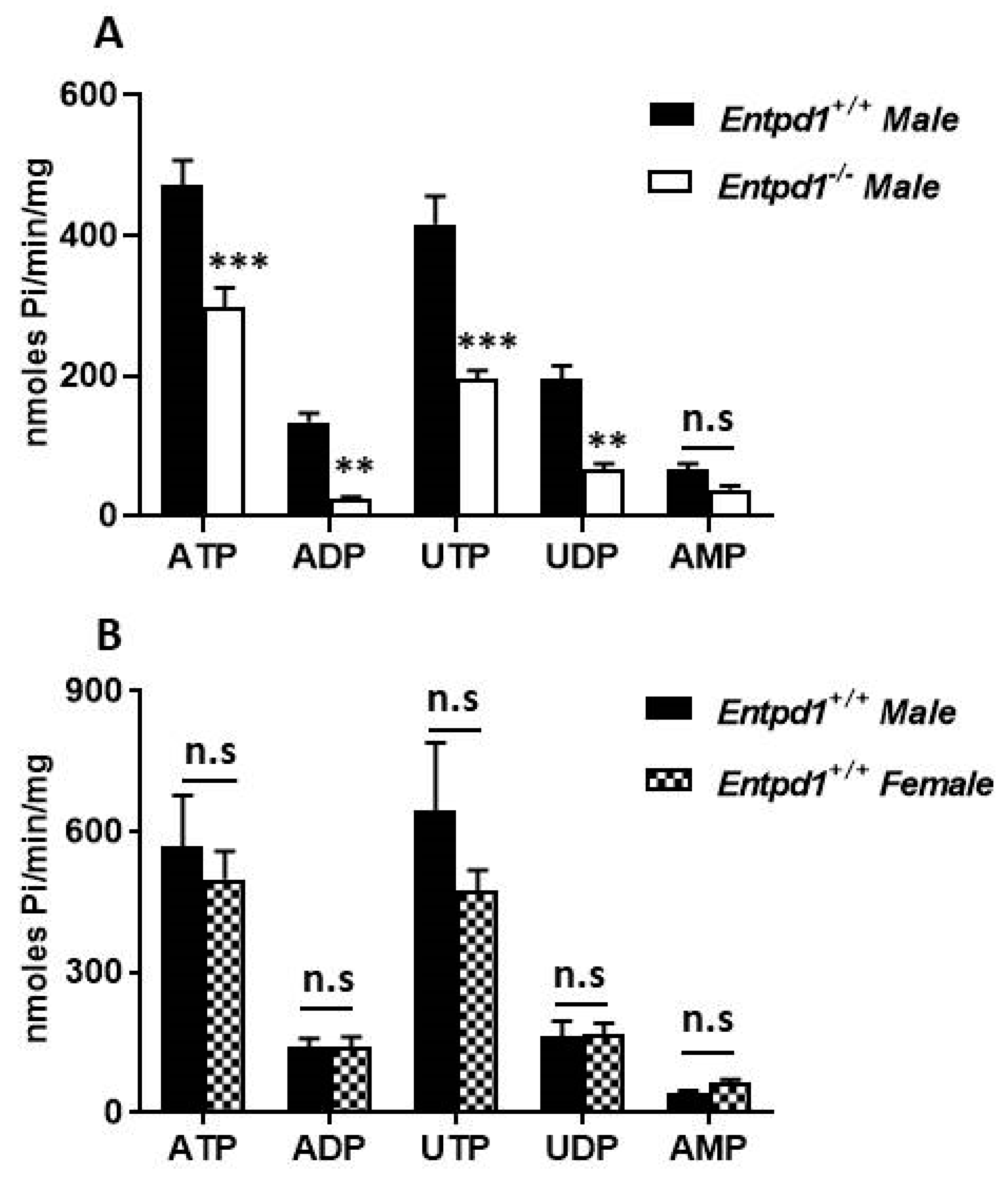 Biomolecules 11 00147 g003 Biomolecules 11 00147 g003