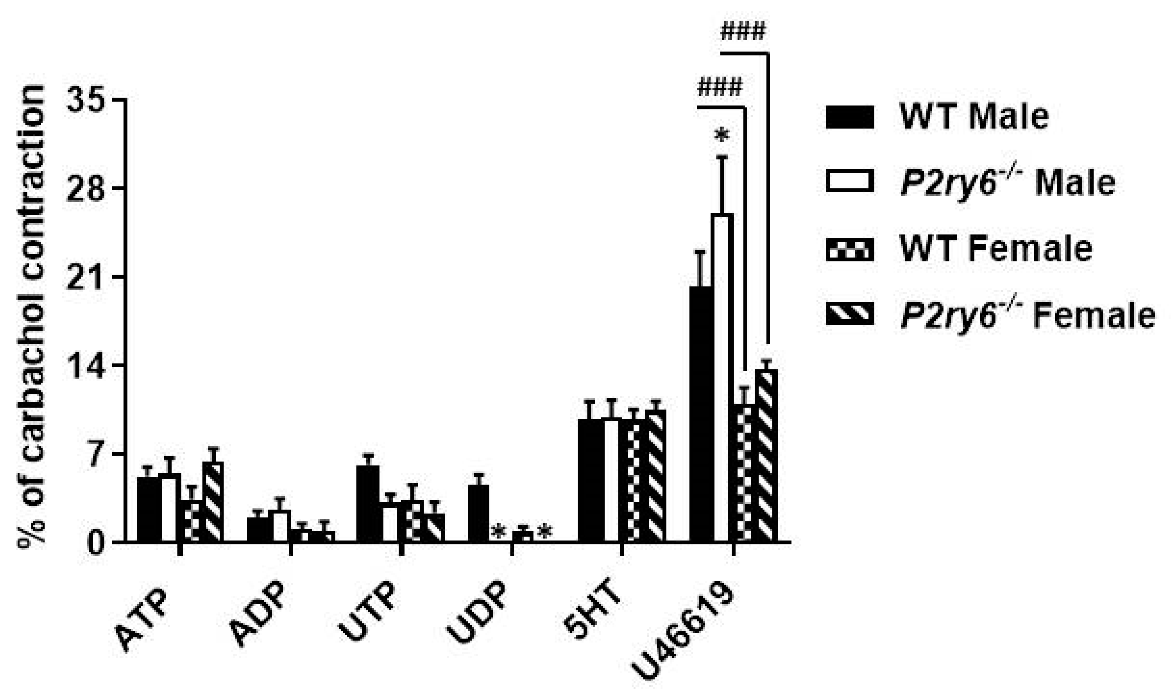 Biomolecules 11 00147 g006 Biomolecules 11 00147 g006