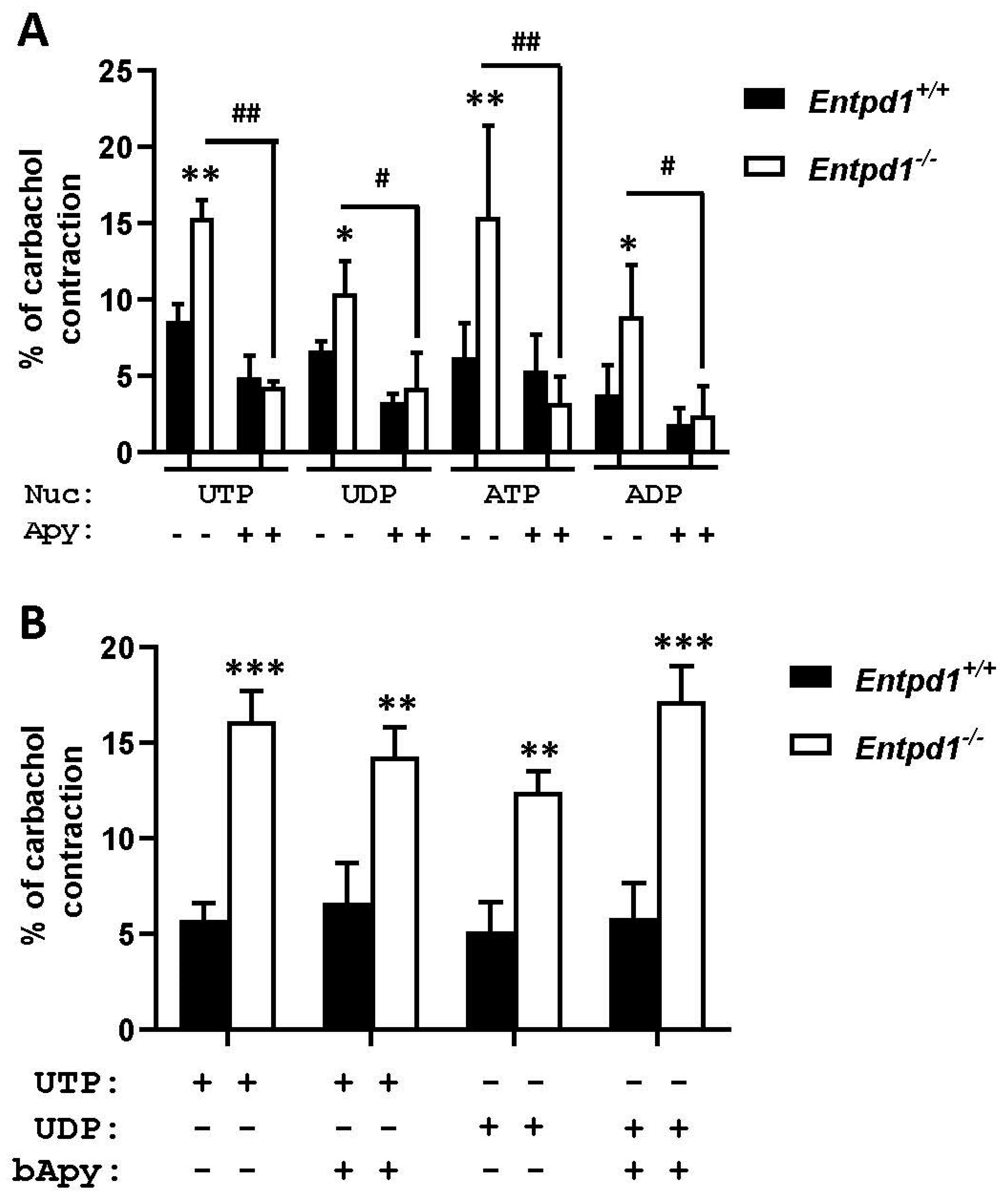 Biomolecules 11 00147 g007 Biomolecules 11 00147 g007