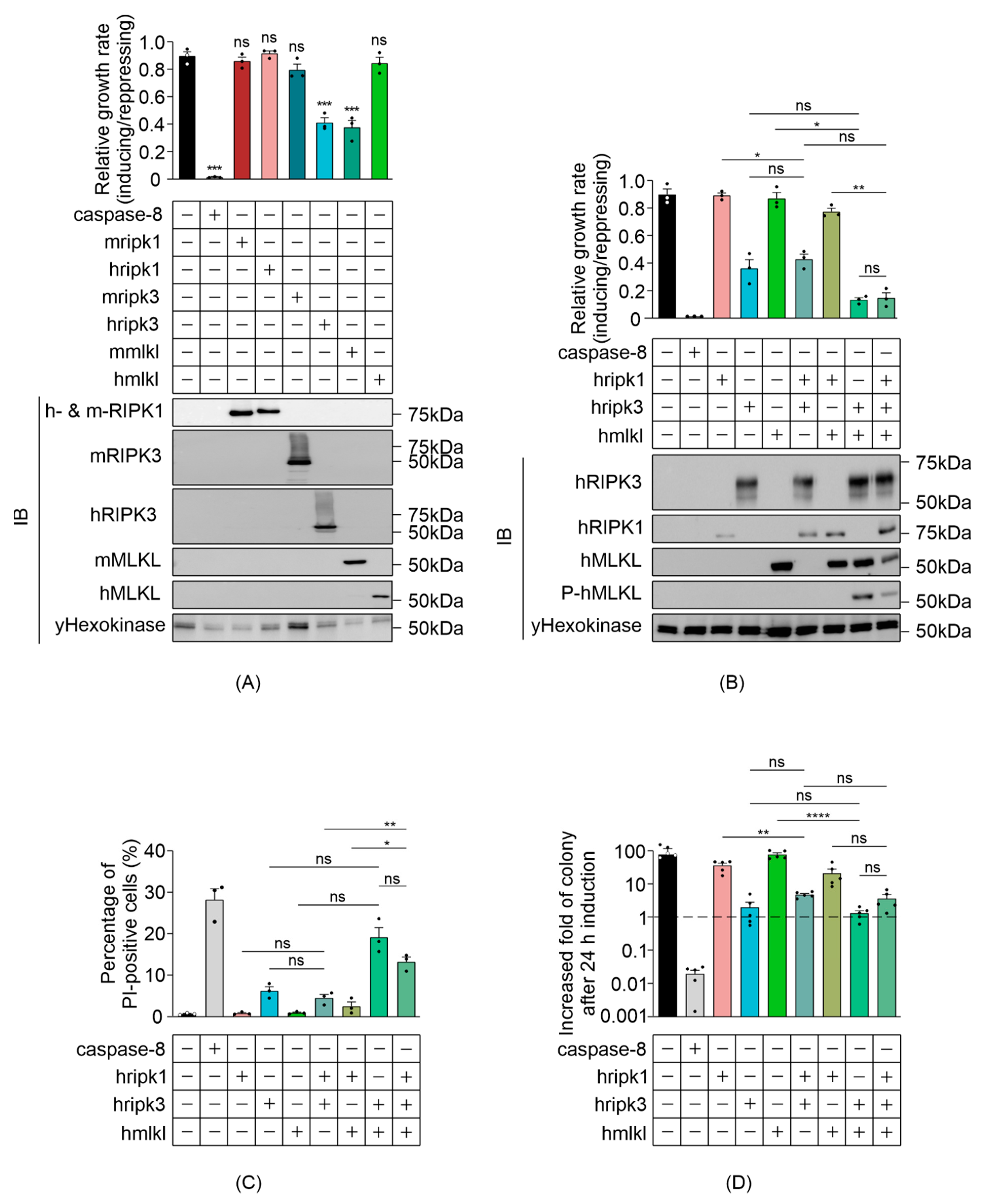 Biomolecules 11 00153 g001 Biomolecules 11 00153 g001