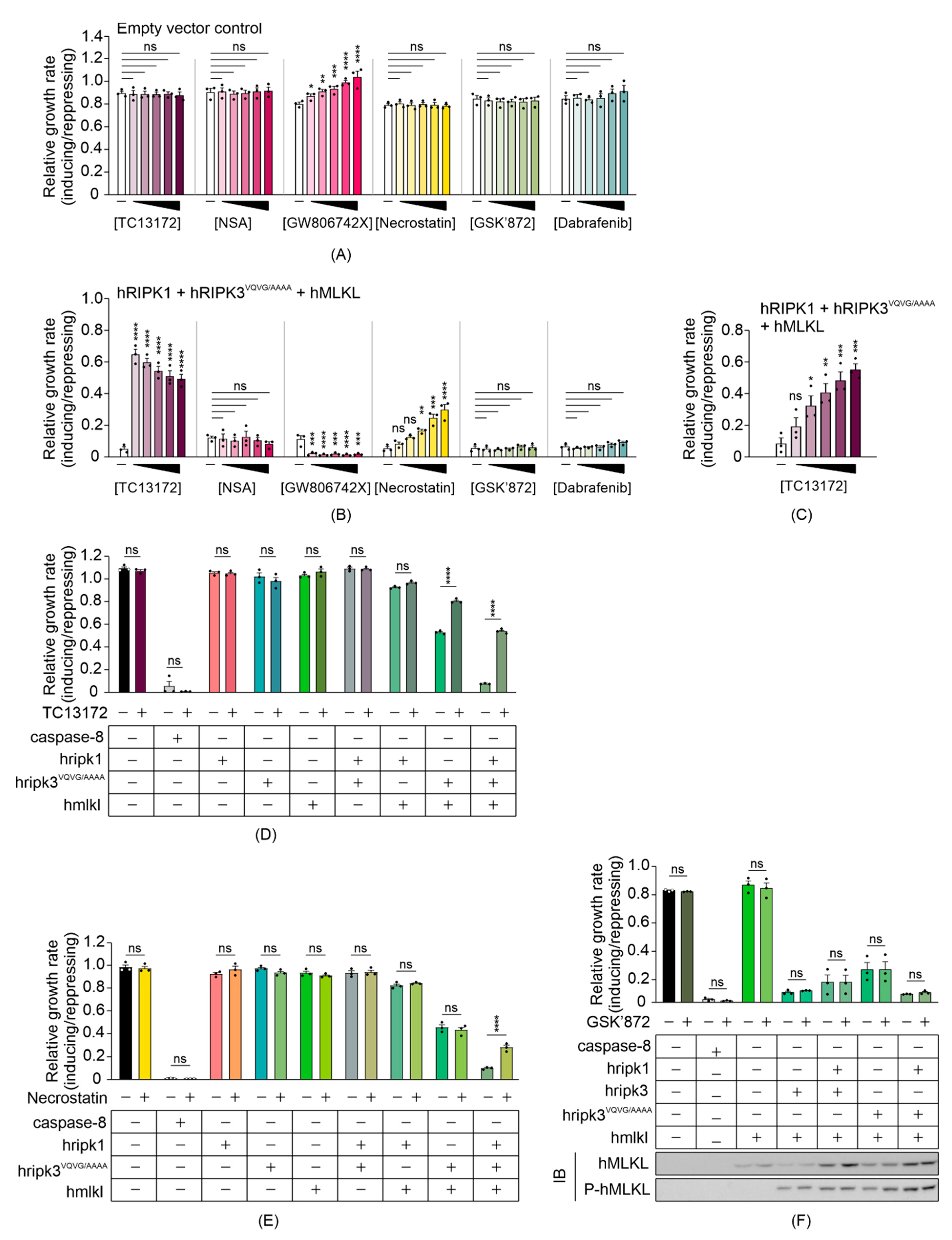 Biomolecules 11 00153 g004 Biomolecules 11 00153 g004