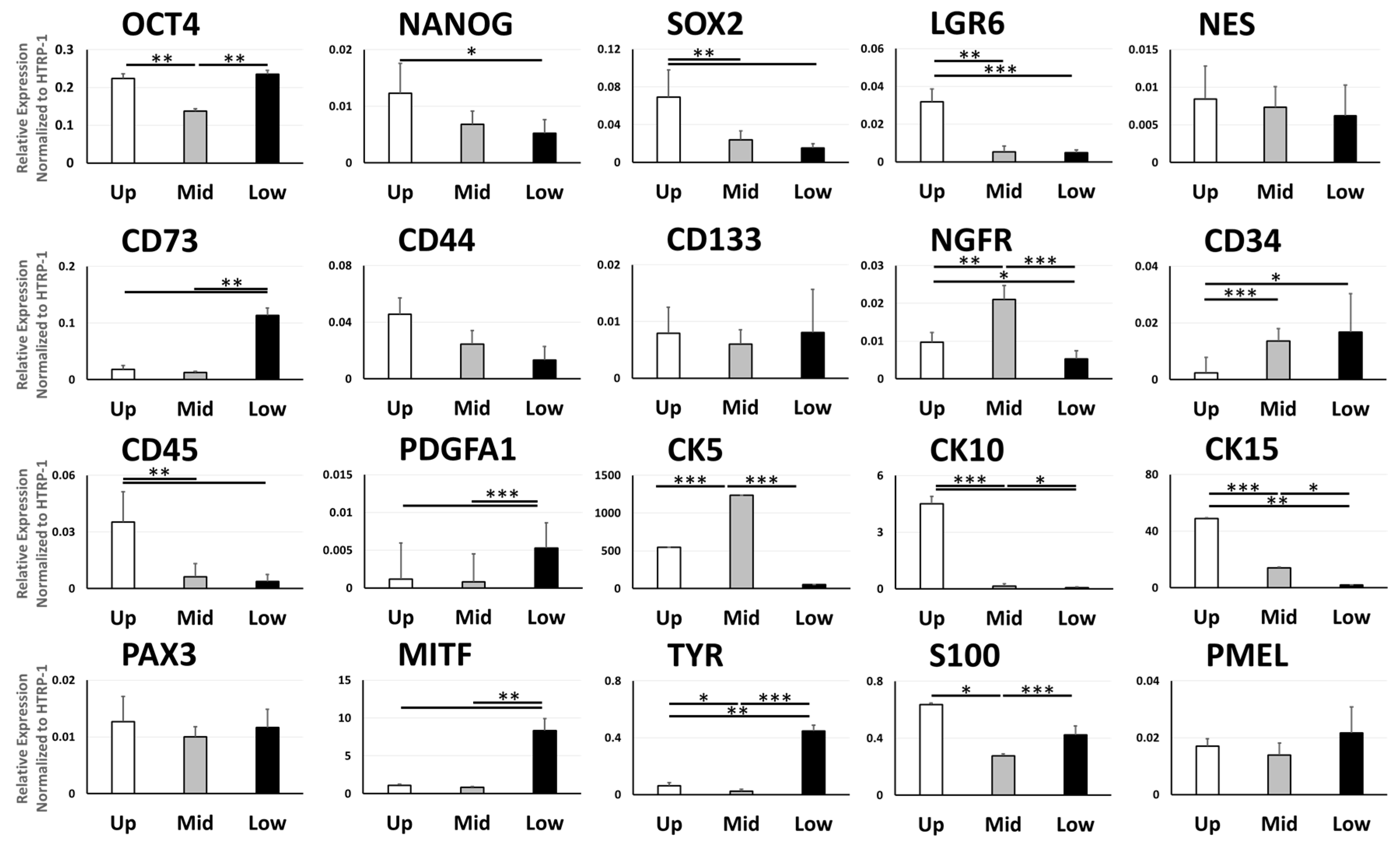 Biomolecules 11 00154 g003 Biomolecules 11 00154 g003