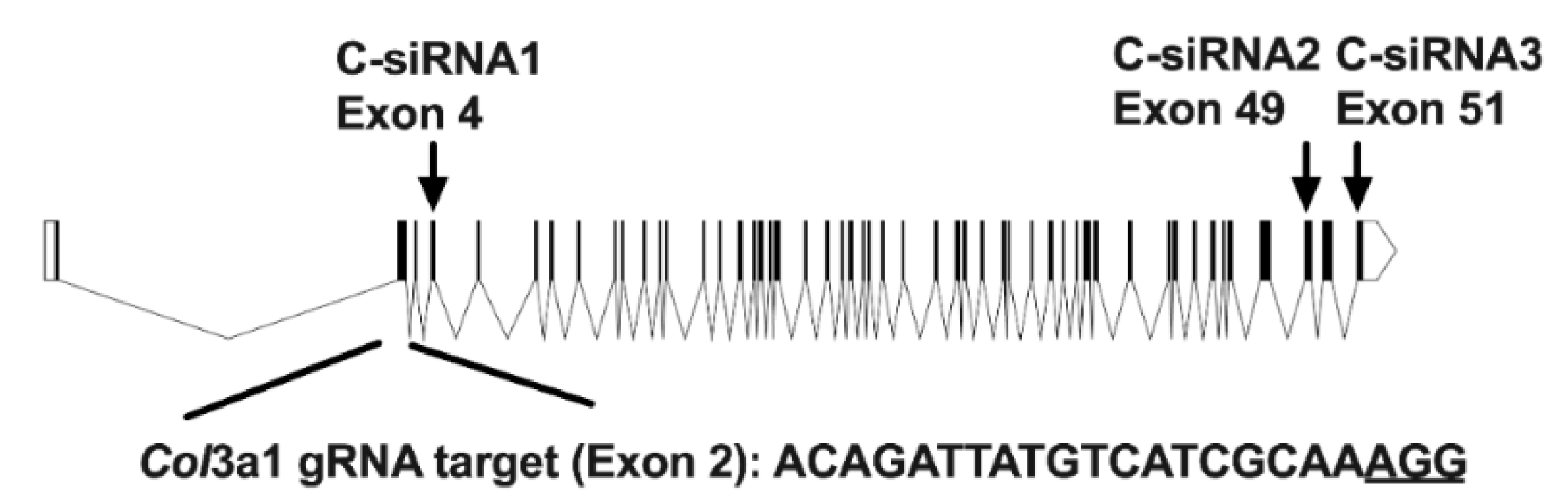 Biomolecules 11 00156 g001