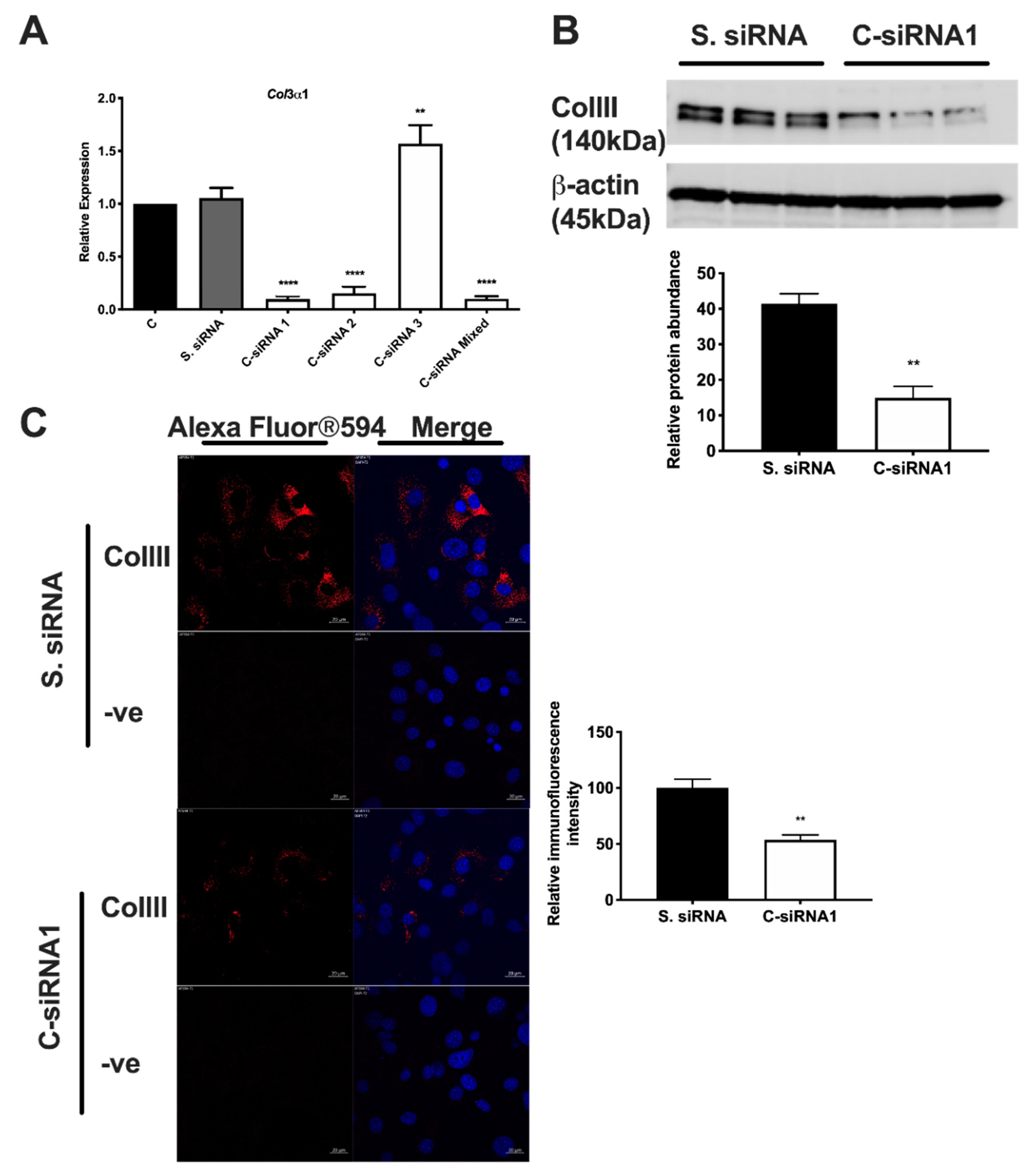 Biomolecules 11 00156 g002