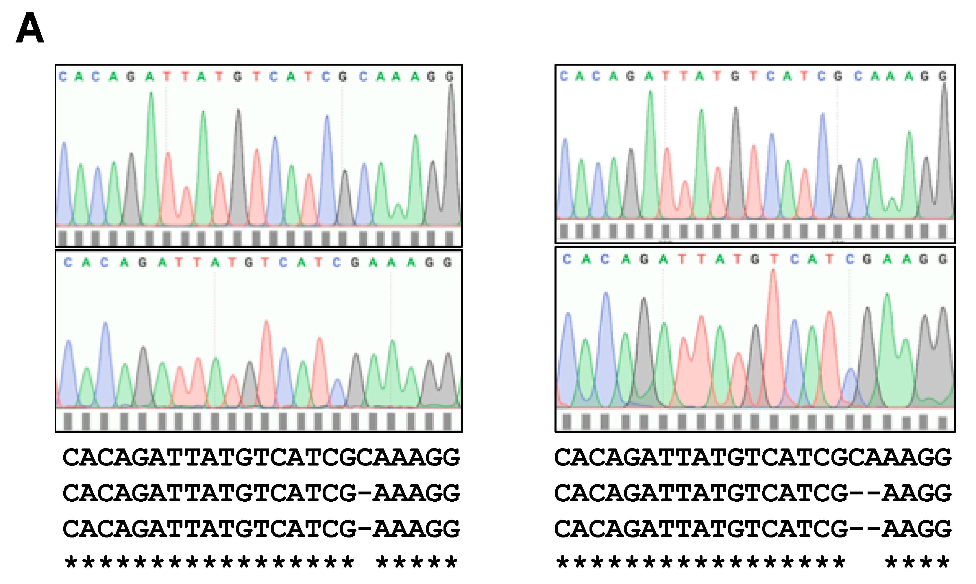 Biomolecules 11 00156 g005a