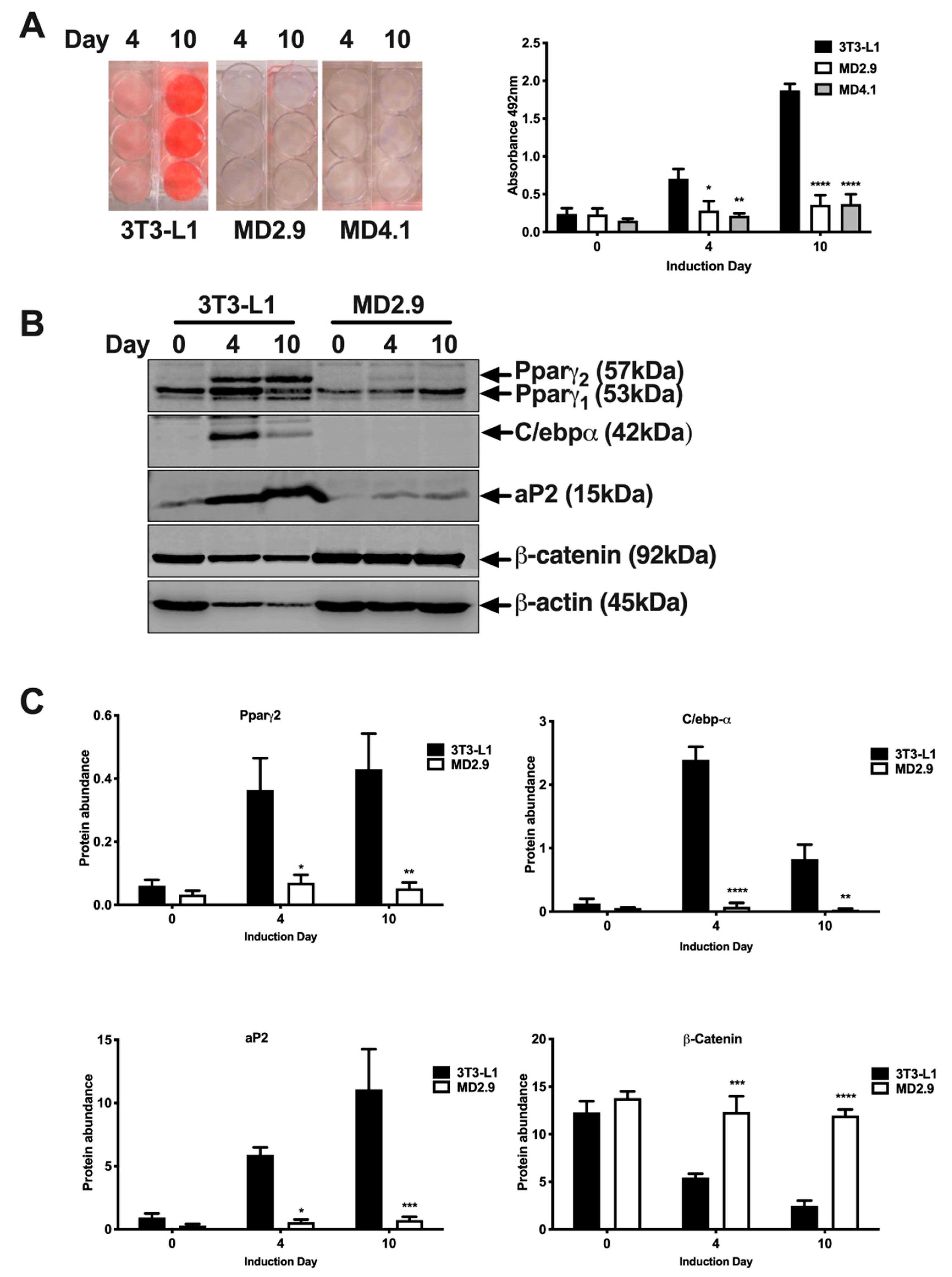 Biomolecules 11 00156 g006
