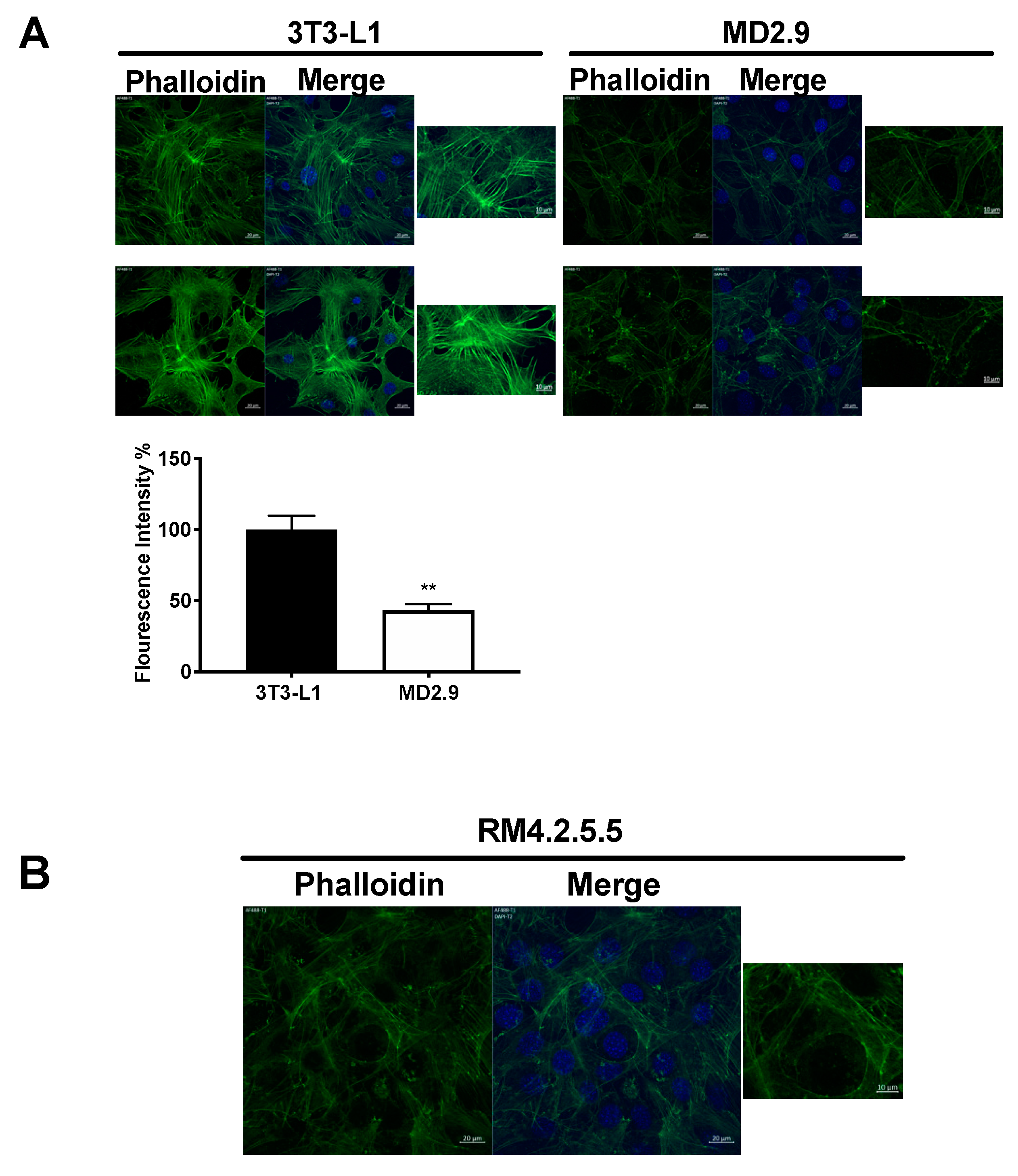 Biomolecules 11 00156 g007