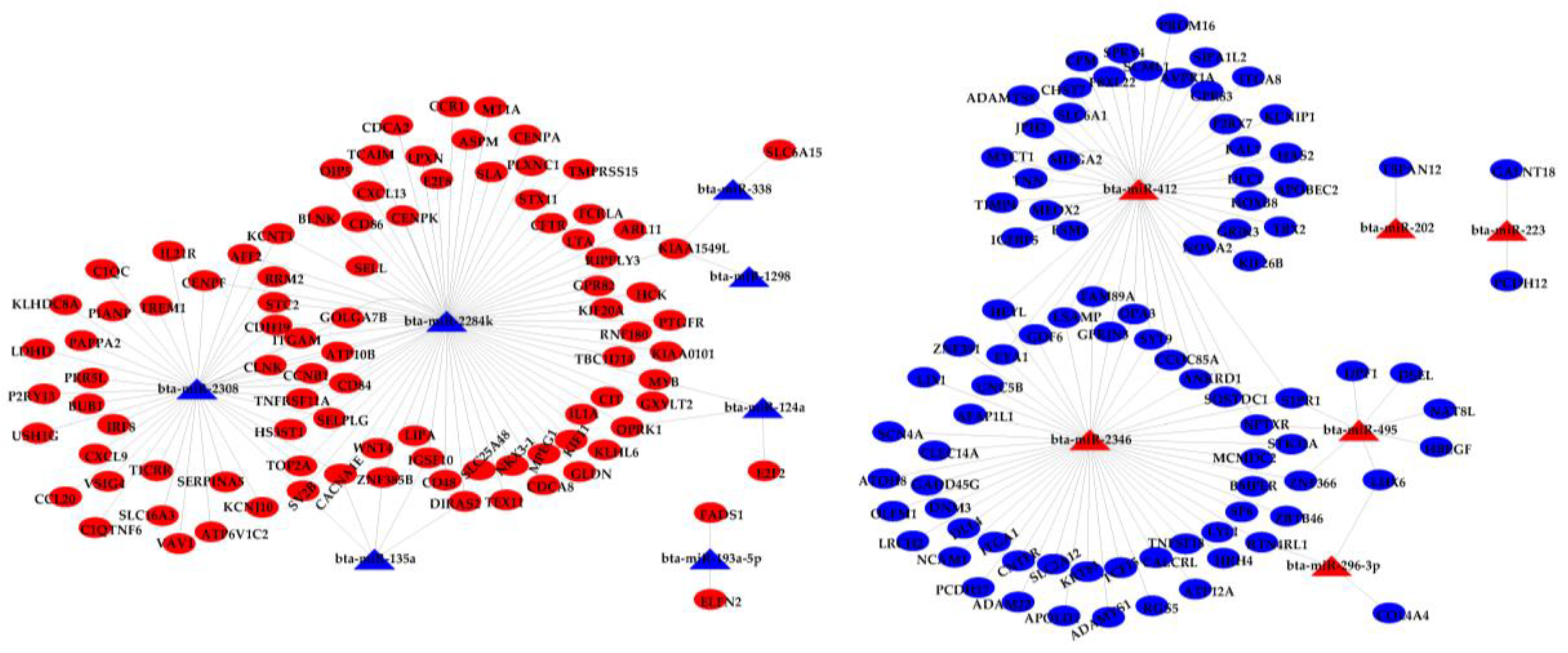 Biomolecules 11 00157 g004 Biomolecules 11 00157 g004