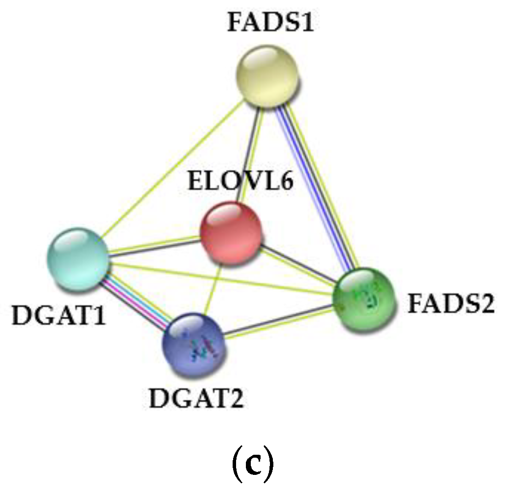 Biomolecules 11 00157 g008b Biomolecules 11 00157 g008b