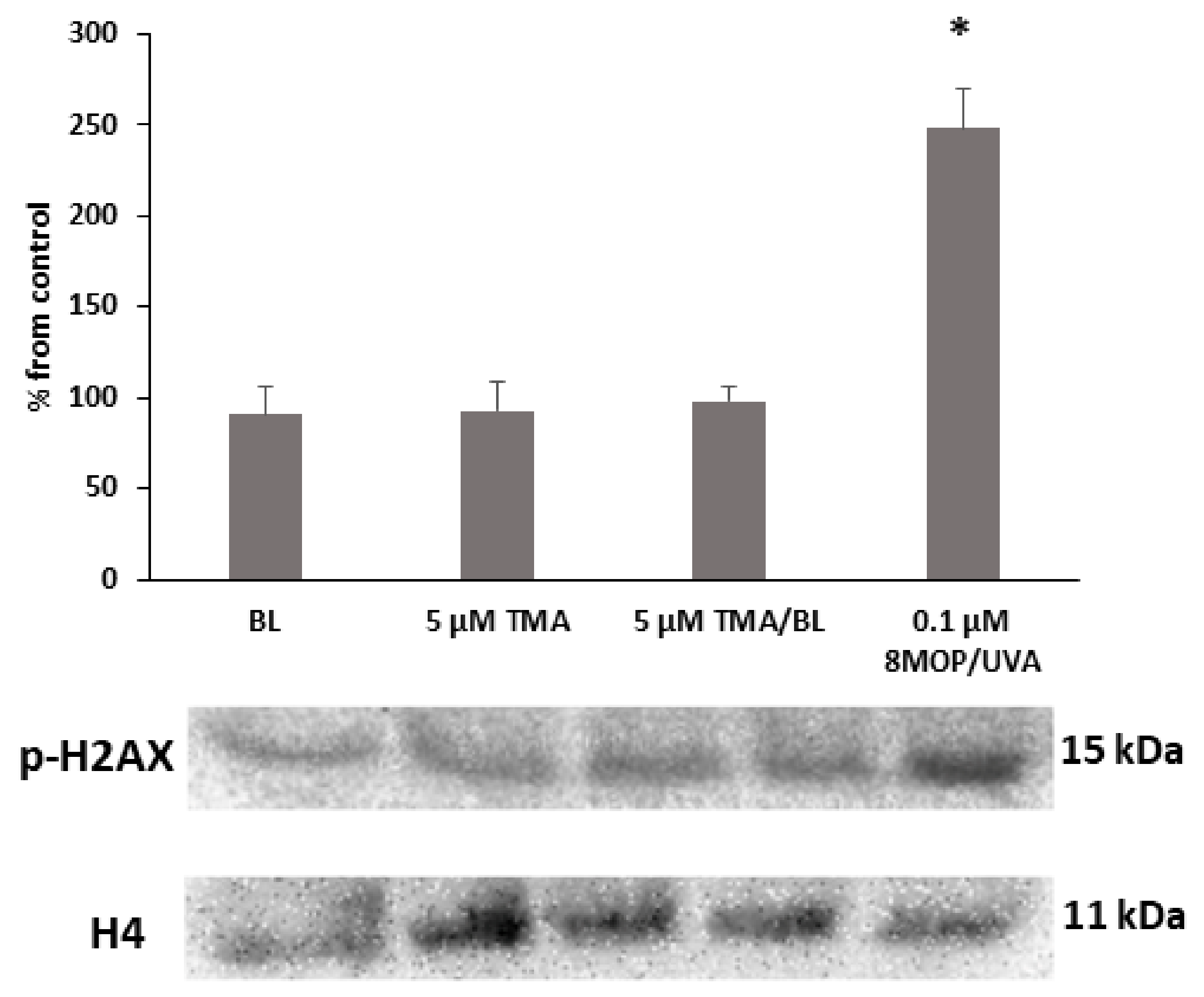 Biomolecules 11 00158 g003 Biomolecules 11 00158 g003