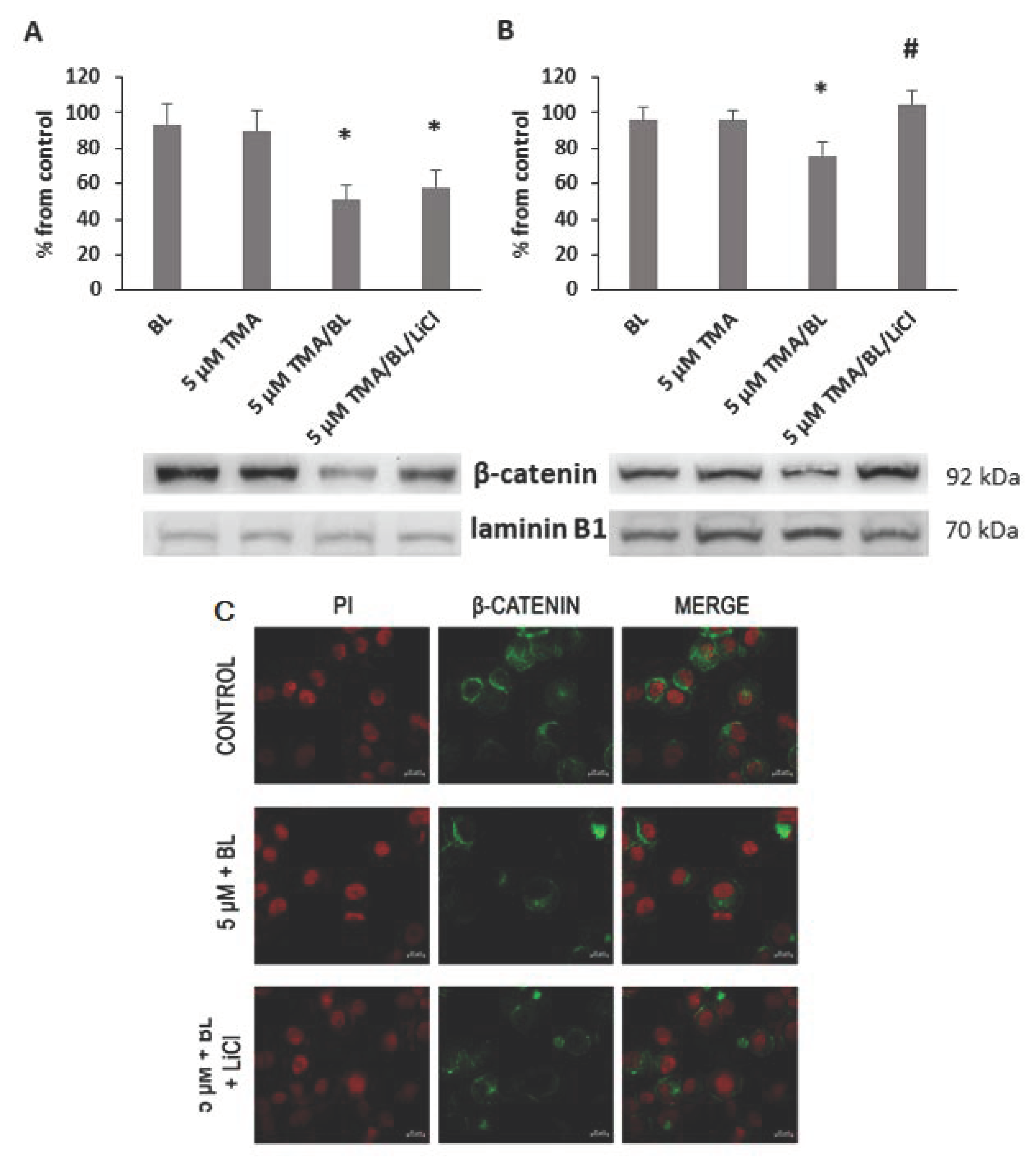 Biomolecules 11 00158 g004 Biomolecules 11 00158 g004