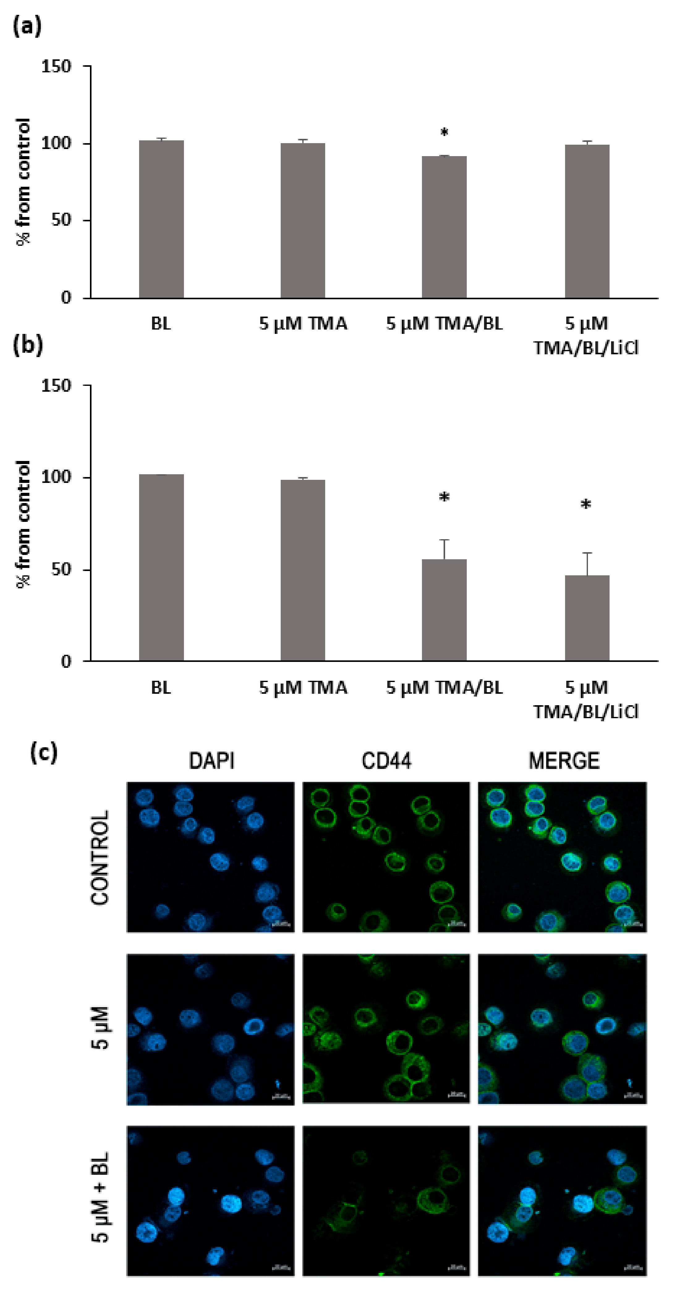 Biomolecules 11 00158 g006 Biomolecules 11 00158 g006