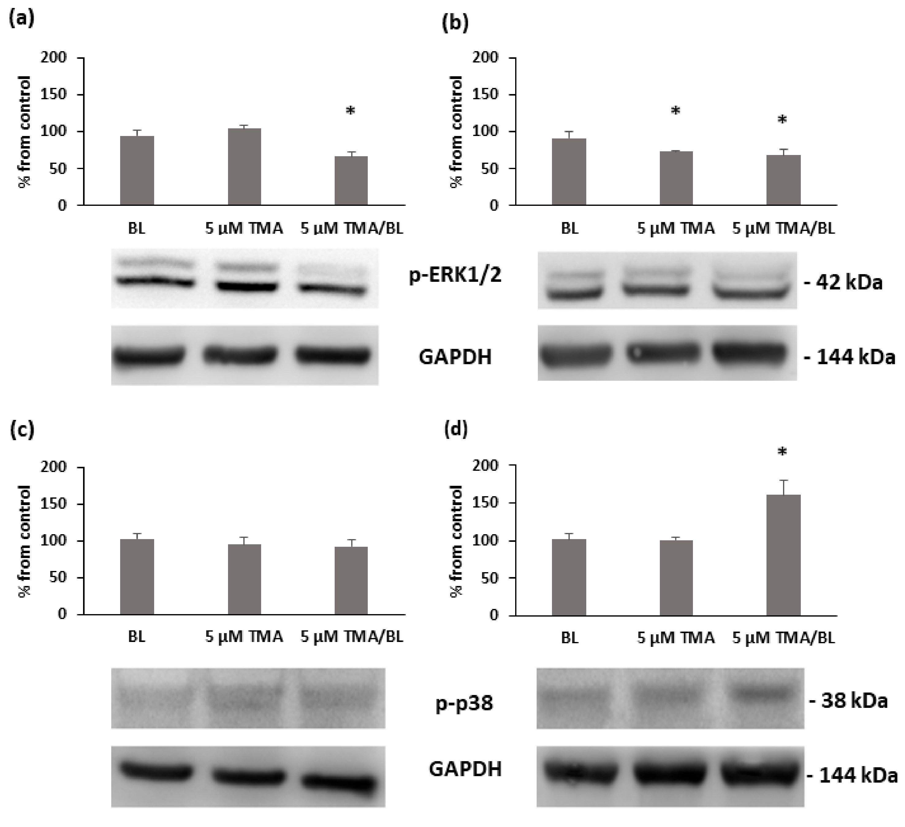 Biomolecules 11 00158 g008 Biomolecules 11 00158 g008