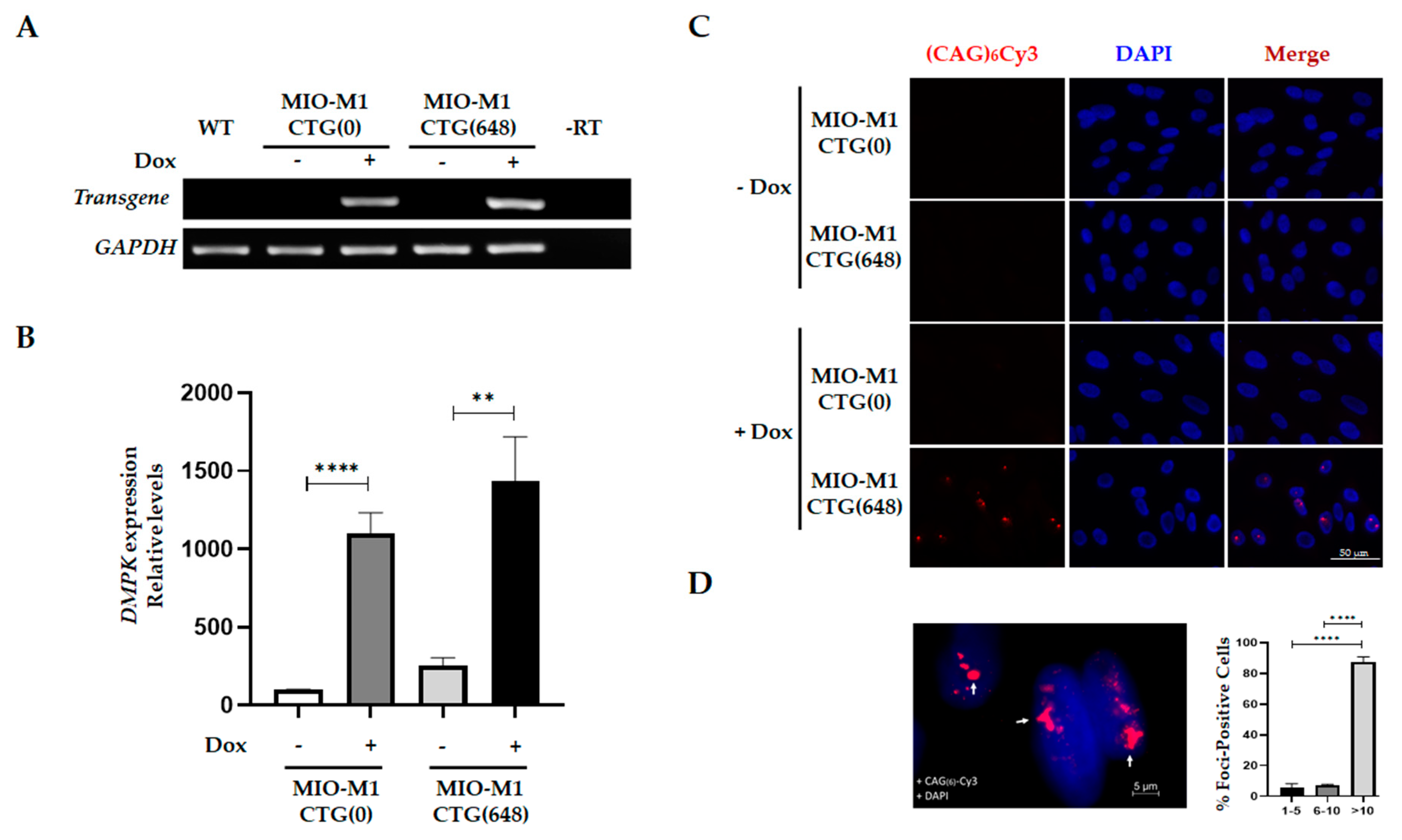 Biomolecules 11 00159 g001 Biomolecules 11 00159 g001