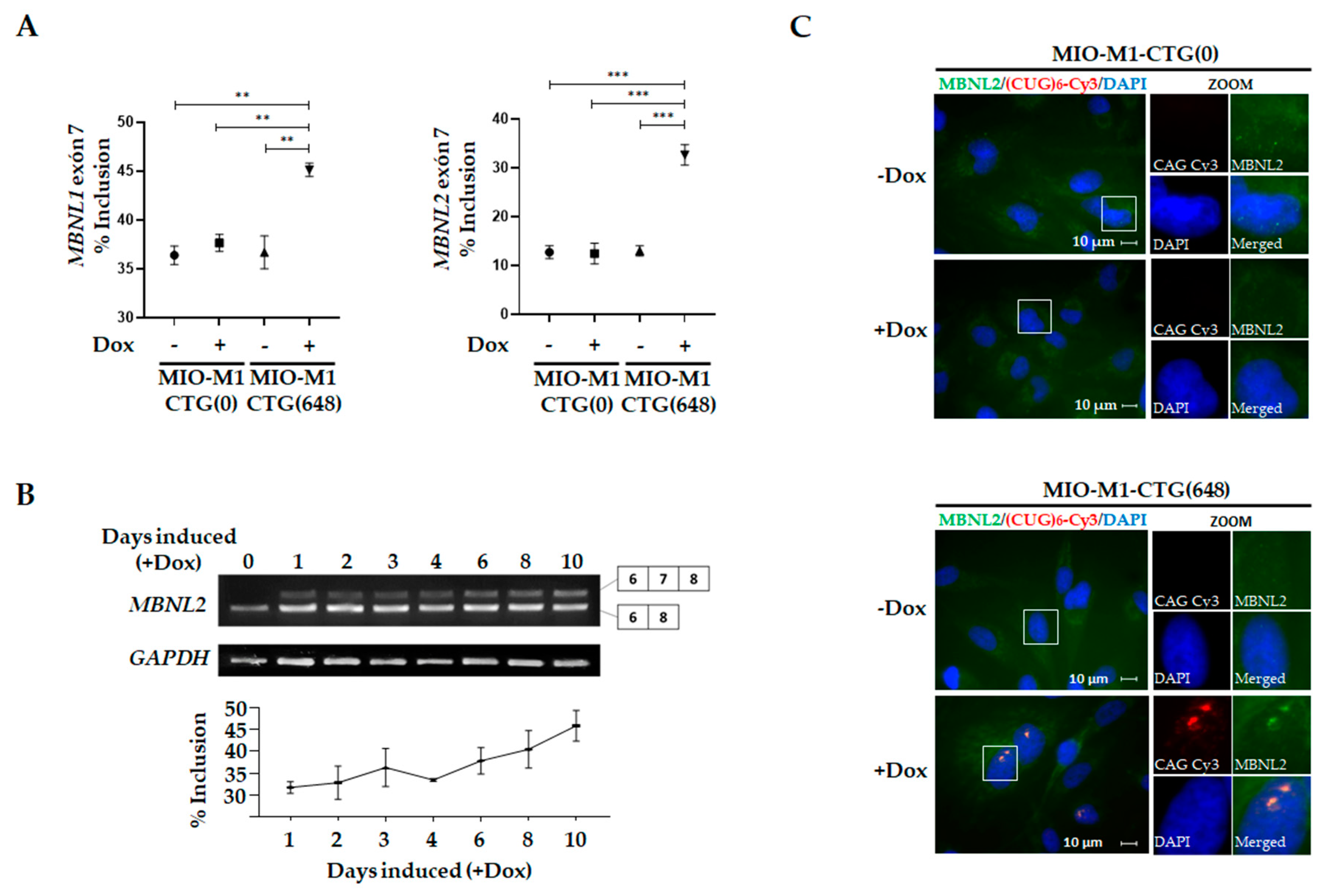 Biomolecules 11 00159 g002 Biomolecules 11 00159 g002