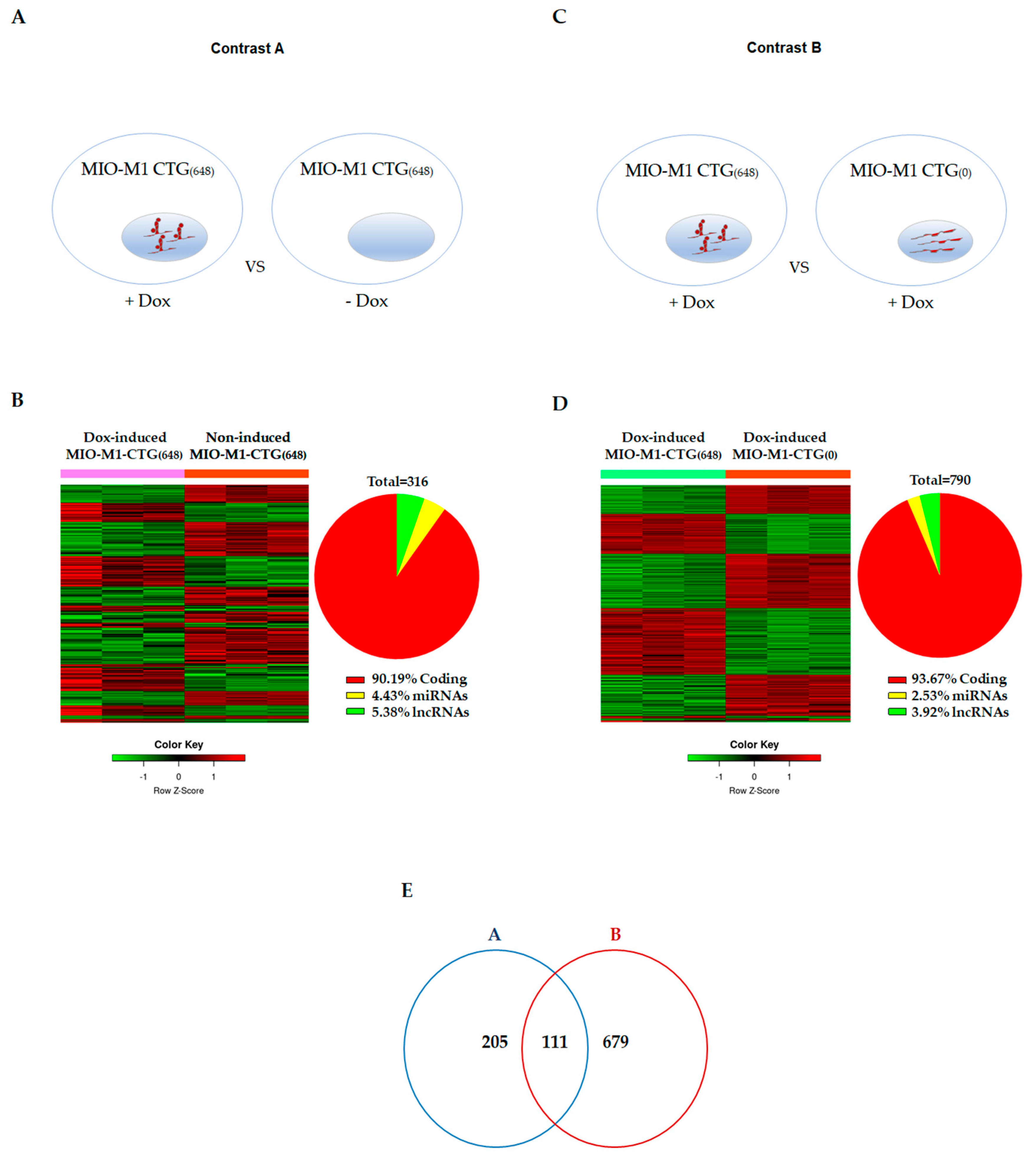 Biomolecules 11 00159 g003 Biomolecules 11 00159 g003