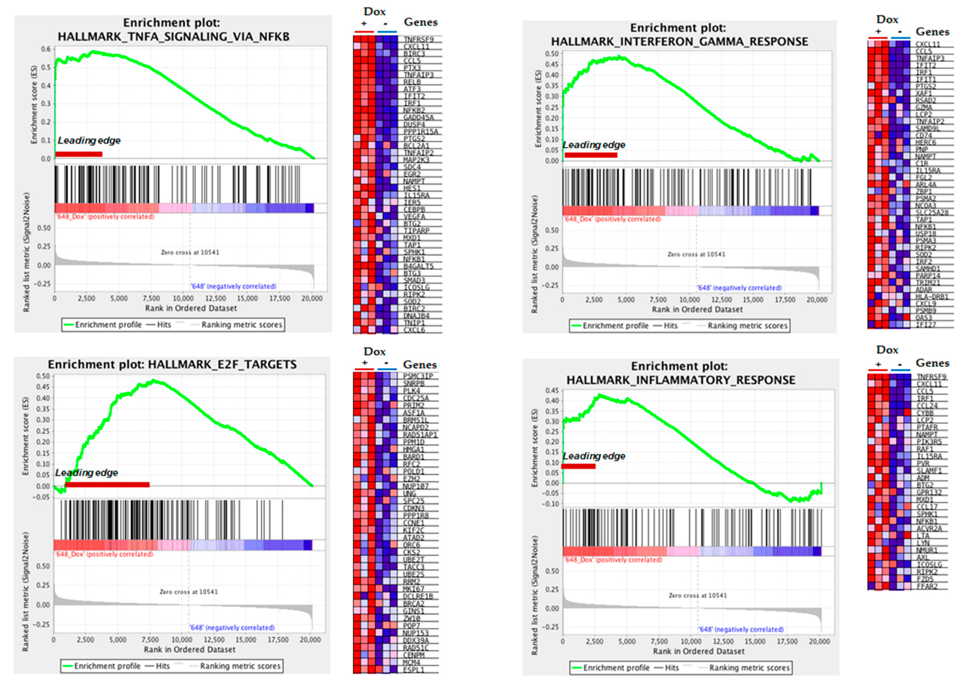 Biomolecules 11 00159 g004 Biomolecules 11 00159 g004