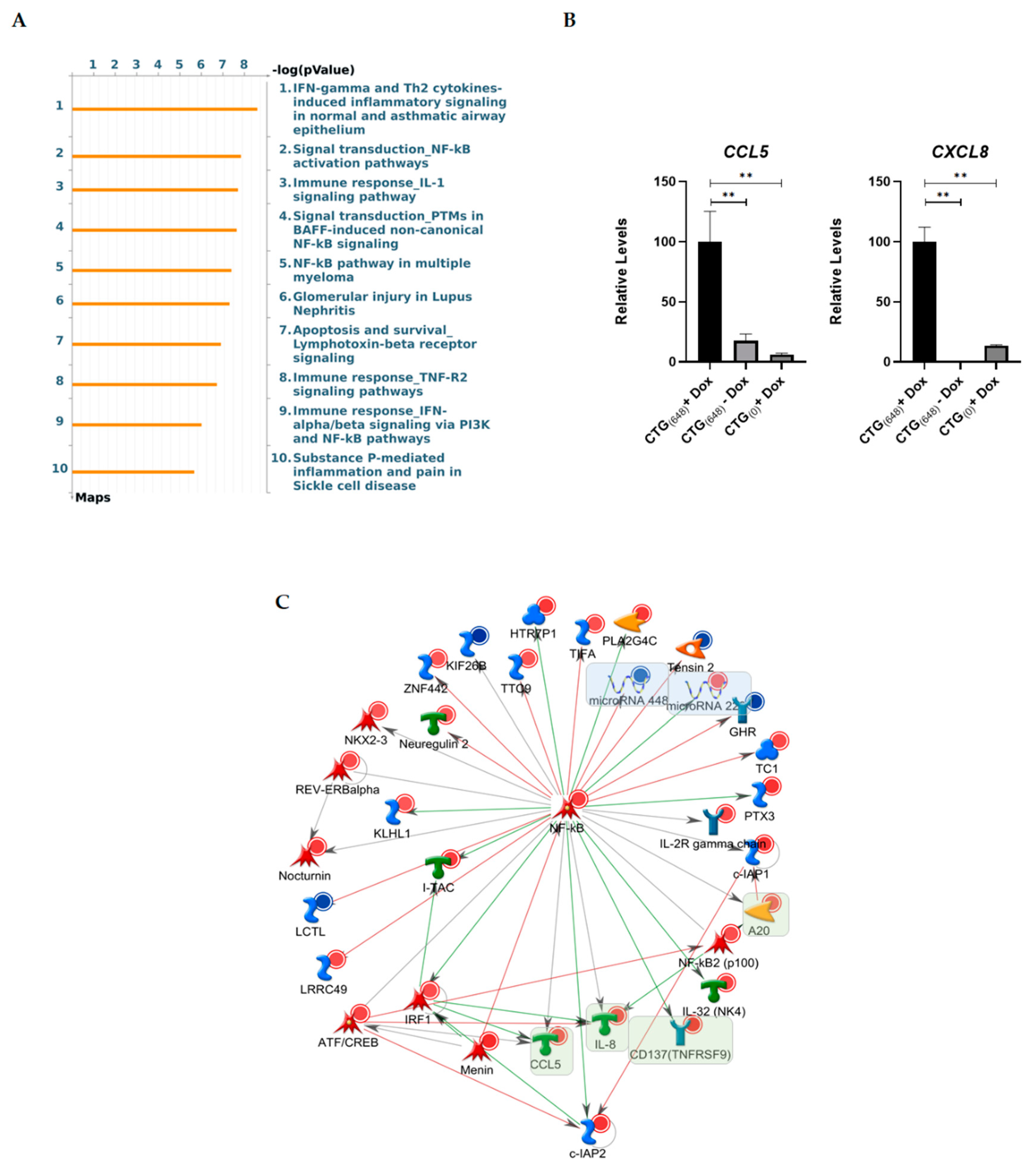 Biomolecules 11 00159 g005 Biomolecules 11 00159 g005