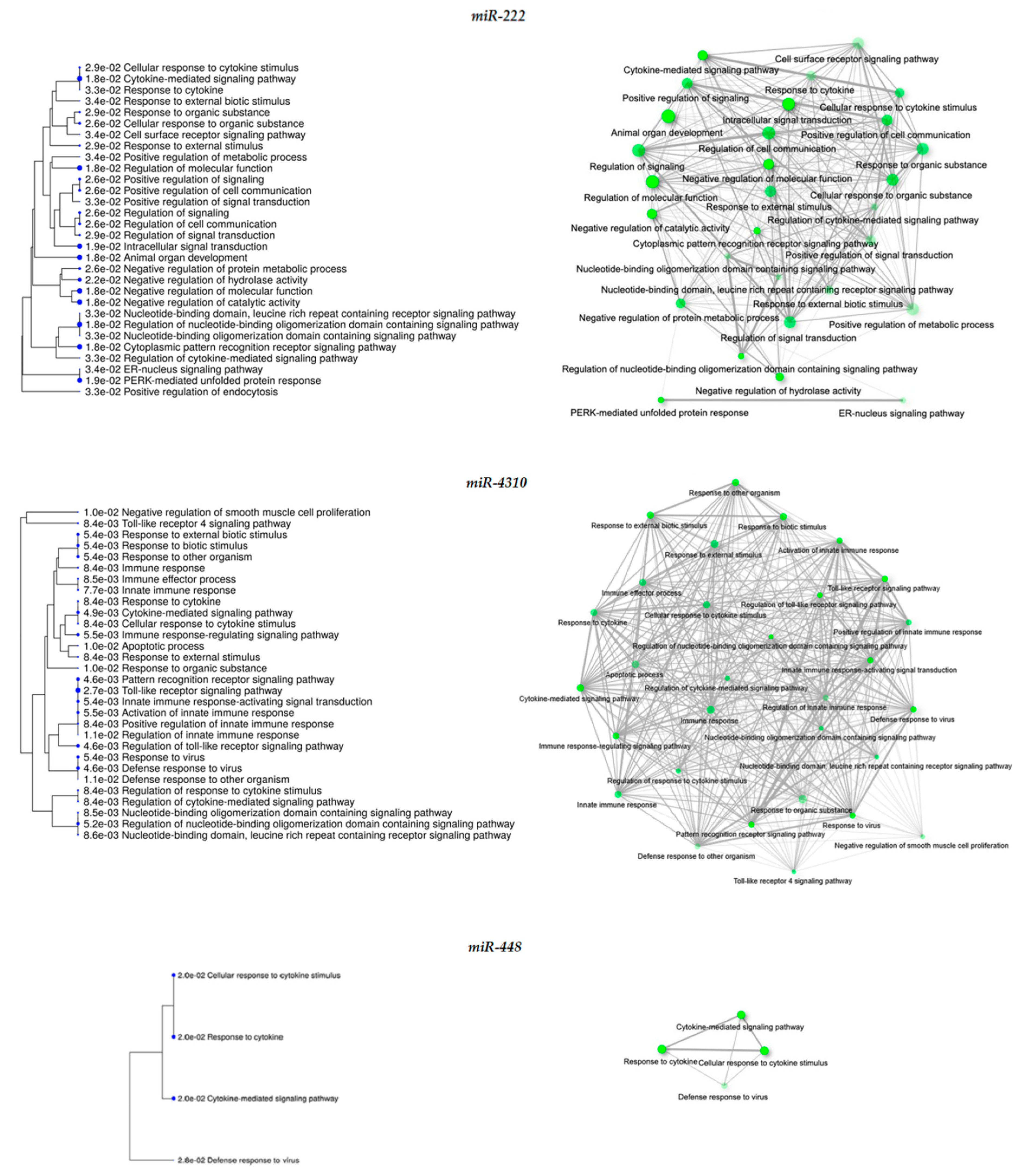 Biomolecules 11 00159 g006 Biomolecules 11 00159 g006