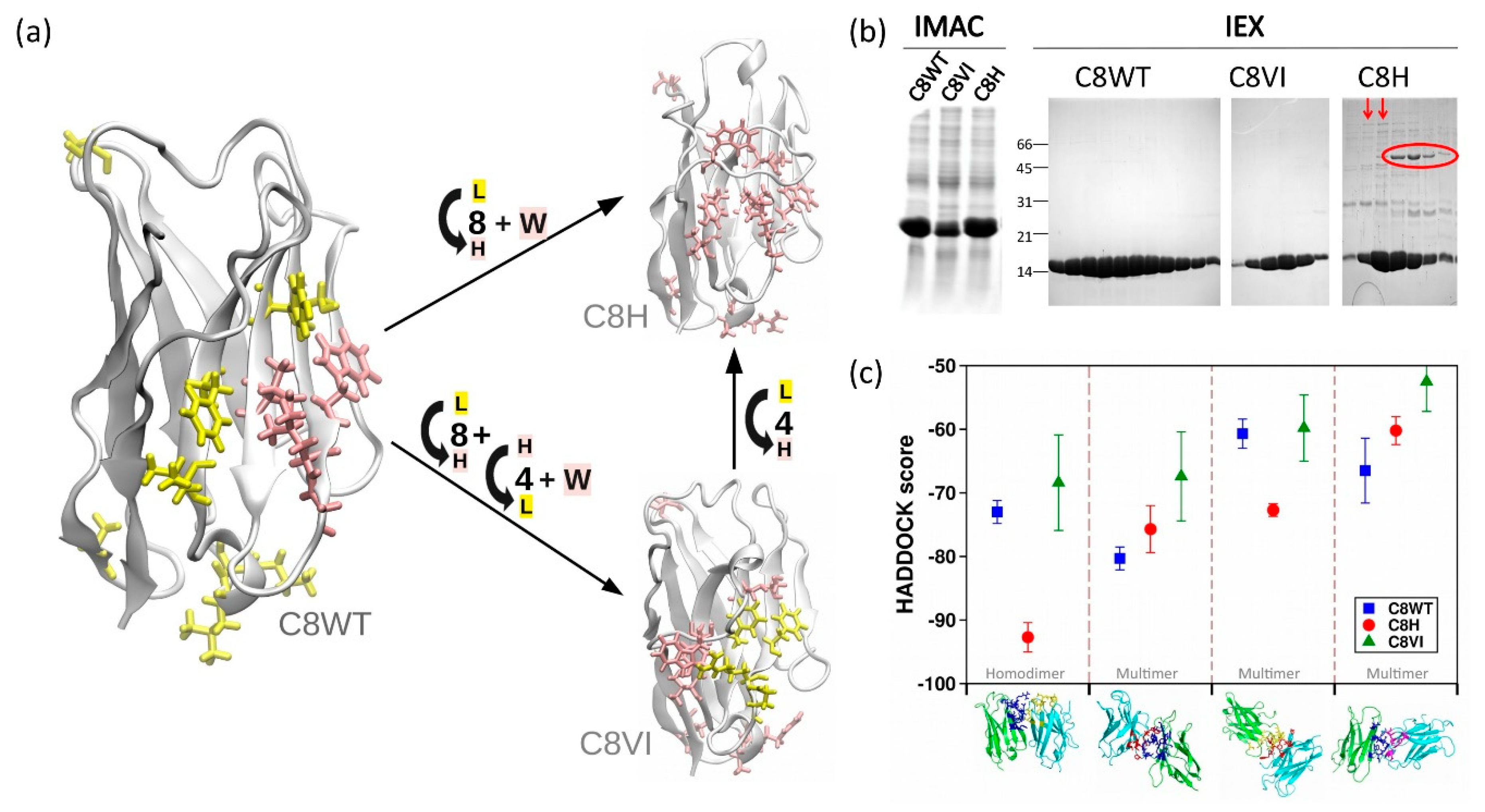 Biomolecules 11 00163 g002 Biomolecules 11 00163 g002
