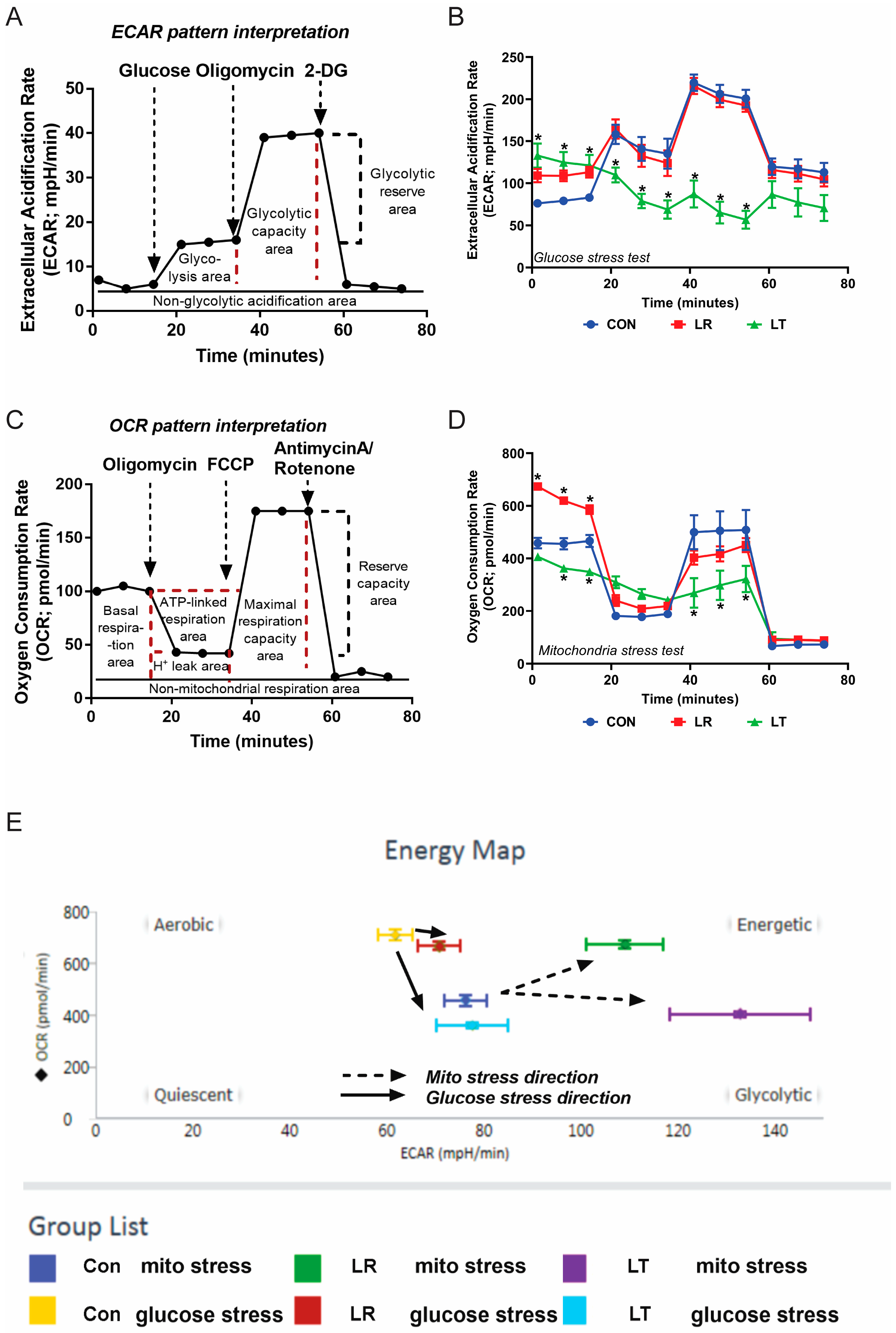 Biomolecules 11 00164 g002 Biomolecules 11 00164 g002