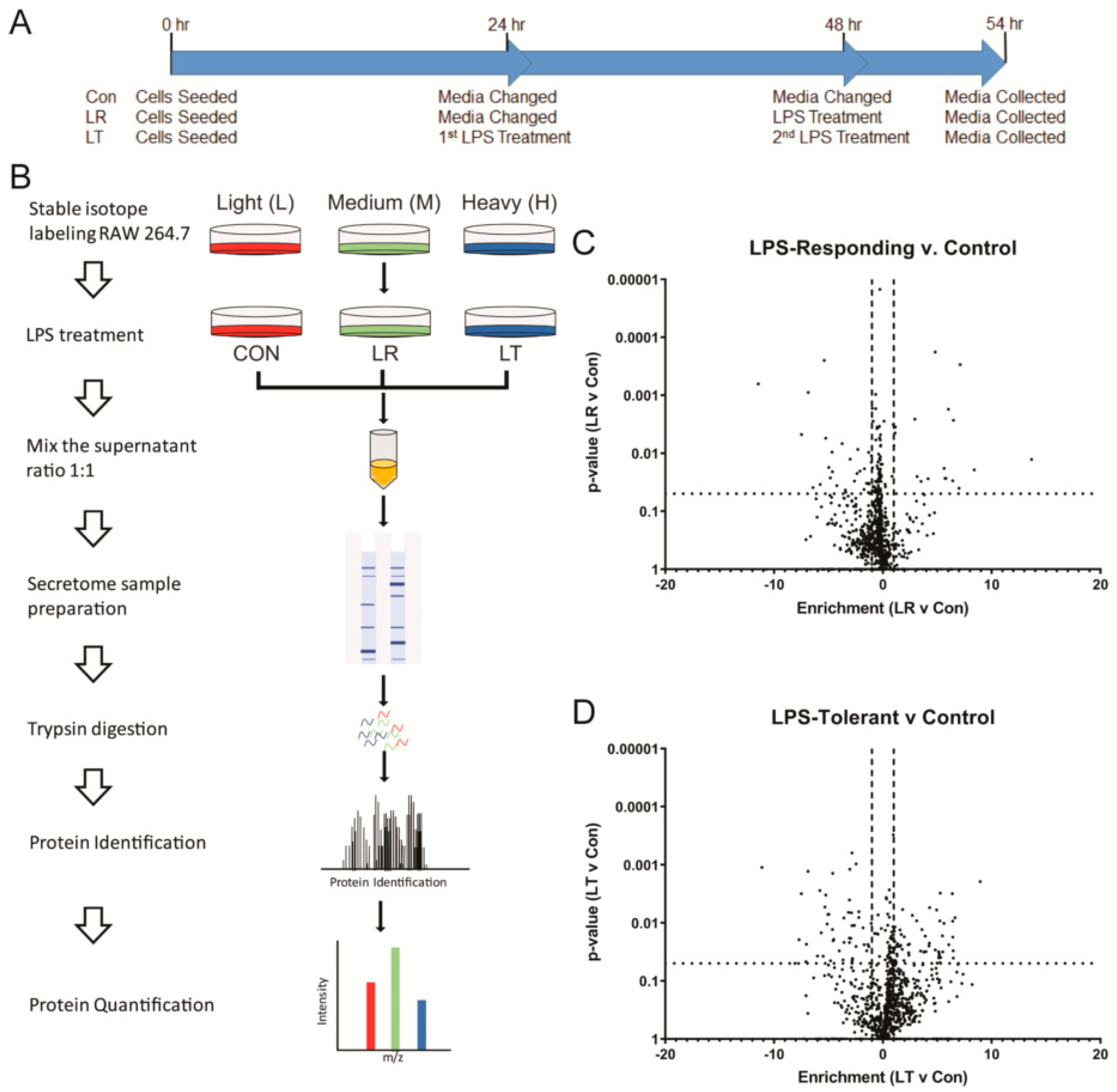 Biomolecules 11 00164 g003 Biomolecules 11 00164 g003