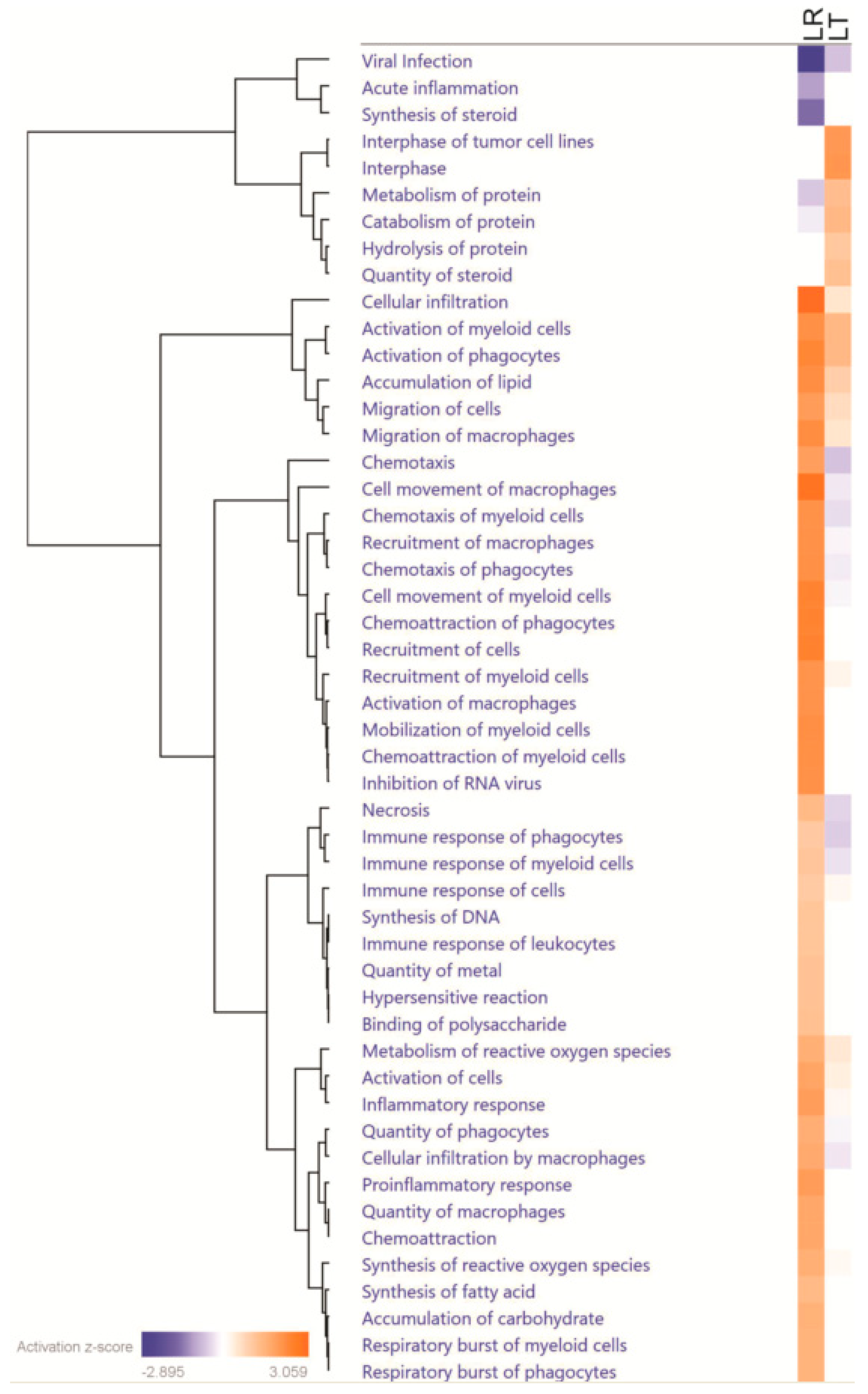 Biomolecules 11 00164 g005 Biomolecules 11 00164 g005