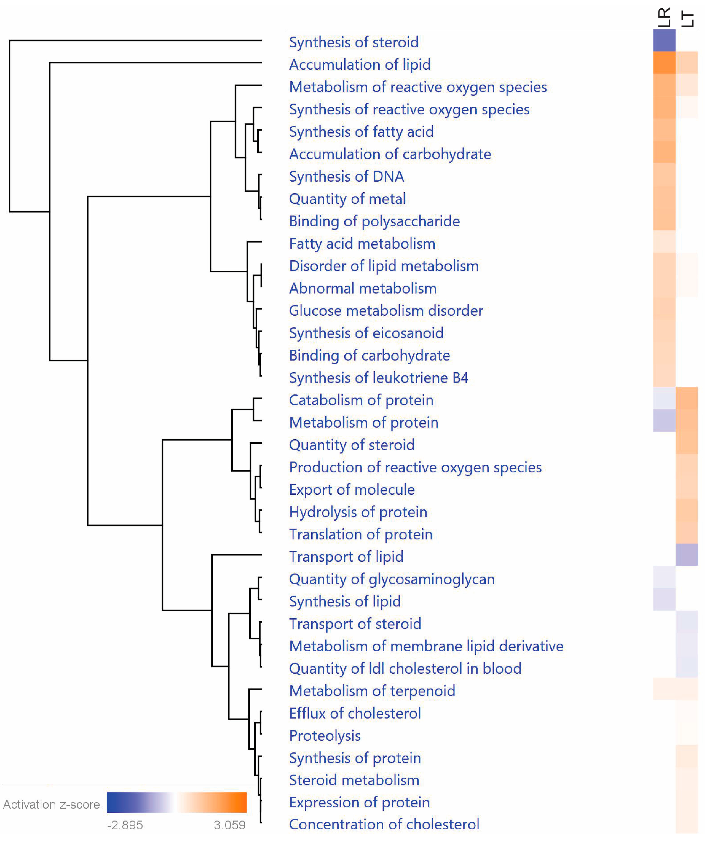 Biomolecules 11 00164 g007 Biomolecules 11 00164 g007