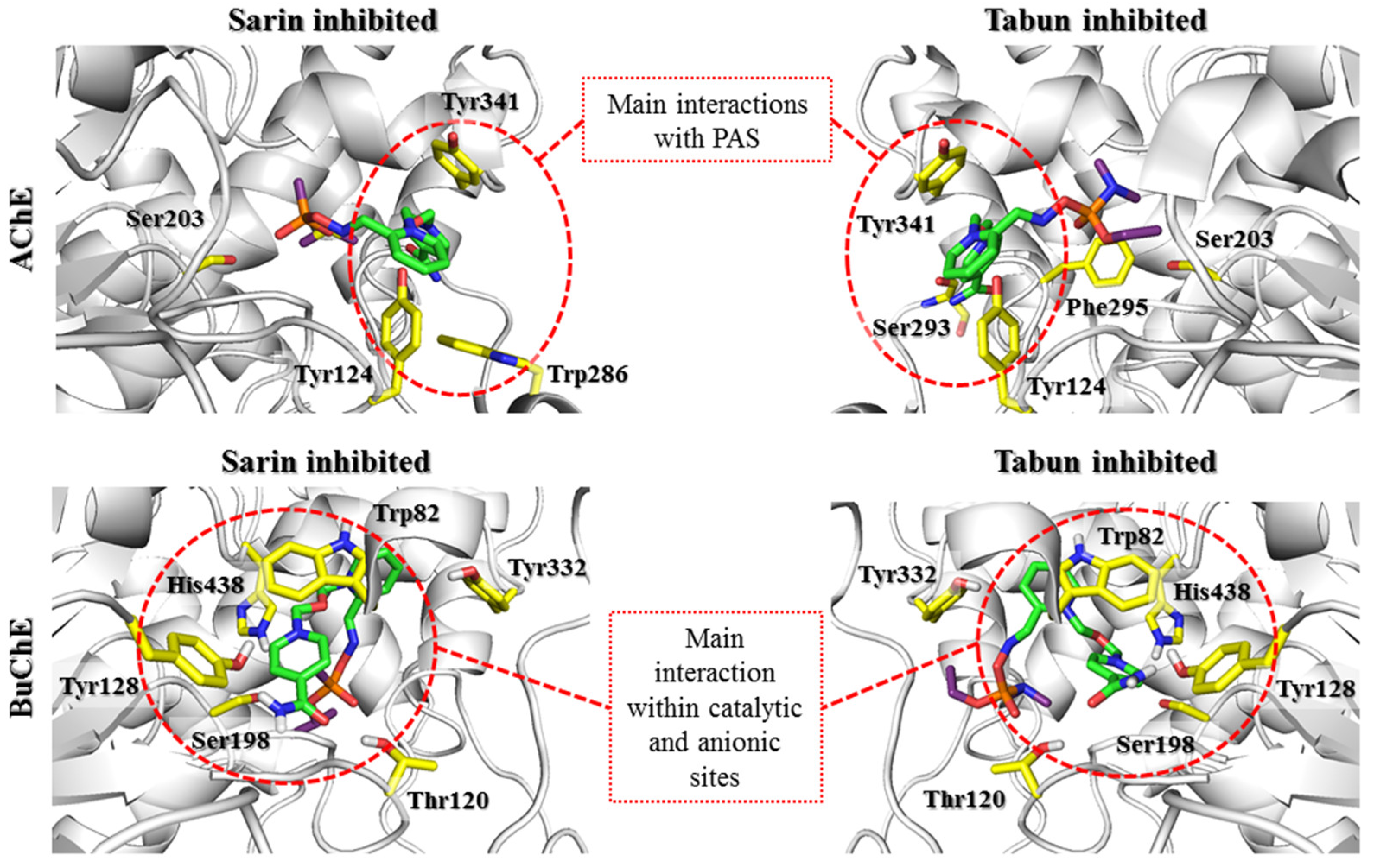 Biomolecules 11 00169 g007