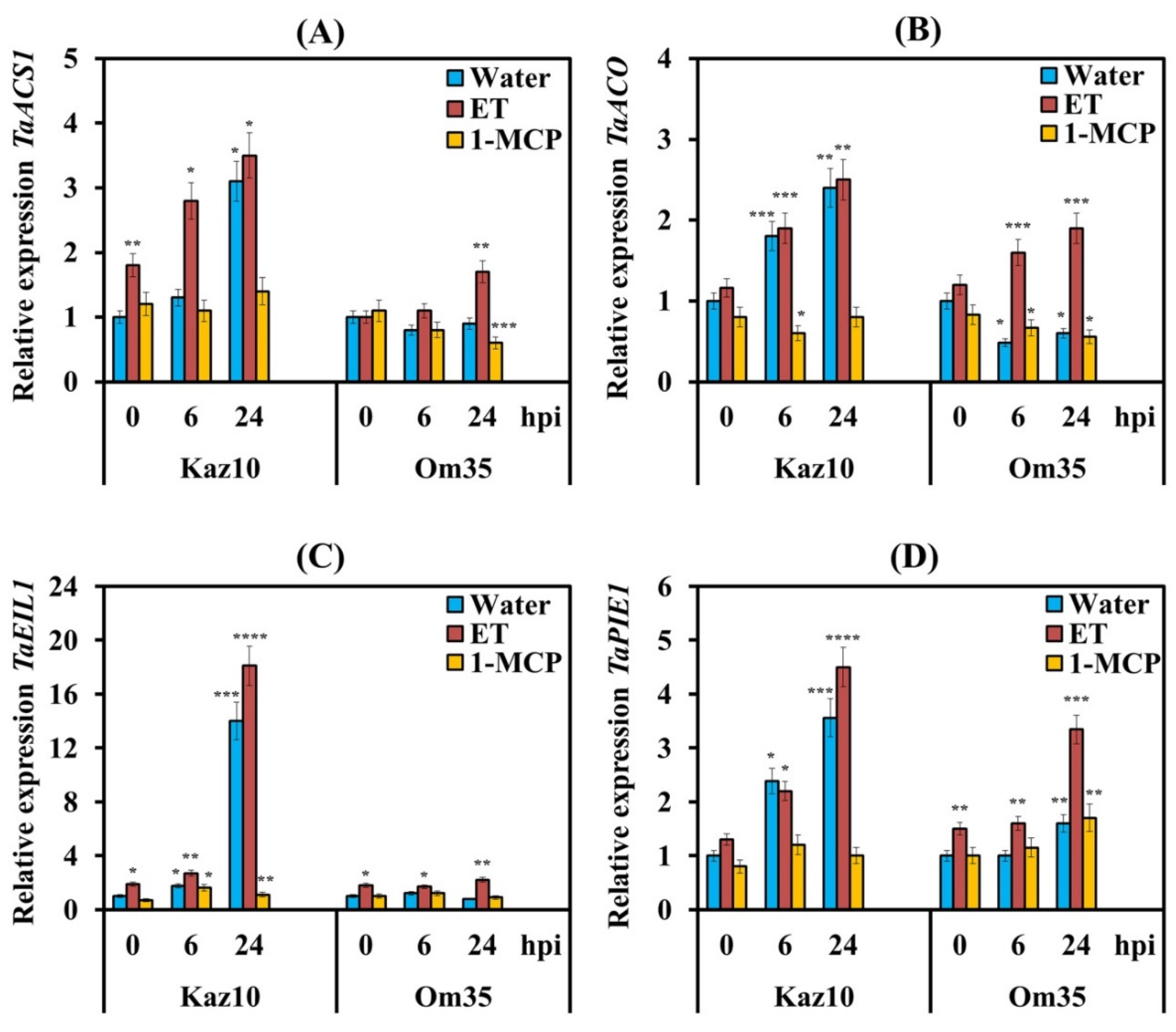 Biomolecules 11 00174 g002