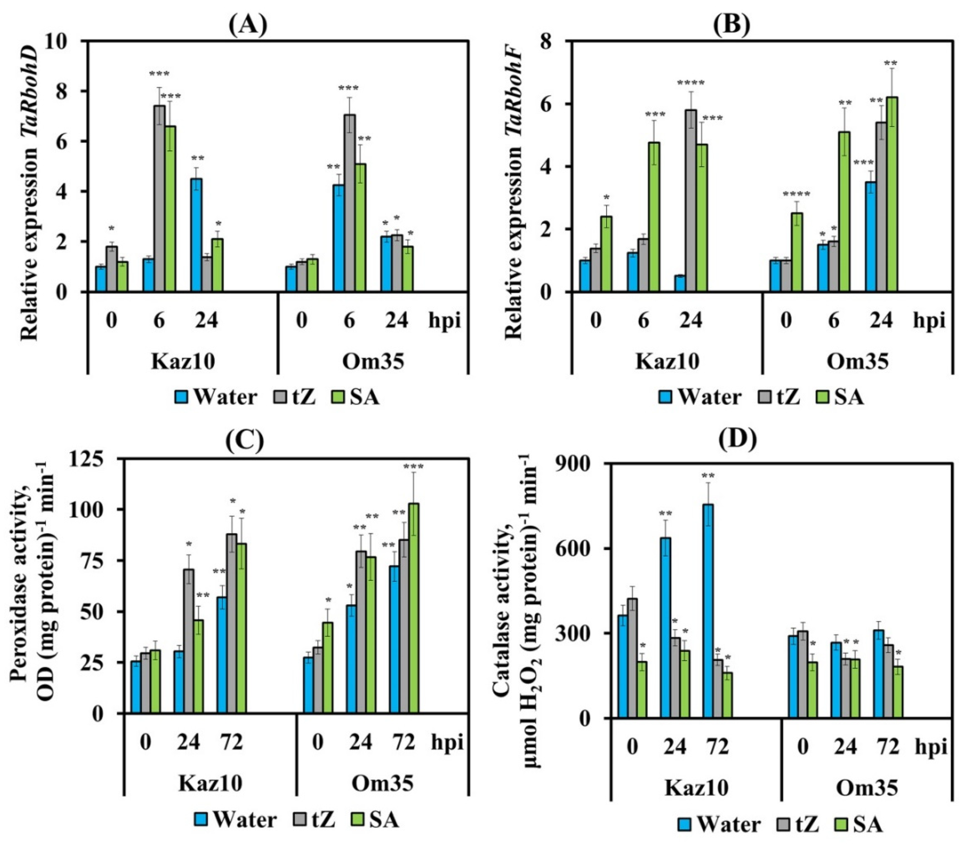 Biomolecules 11 00174 g006