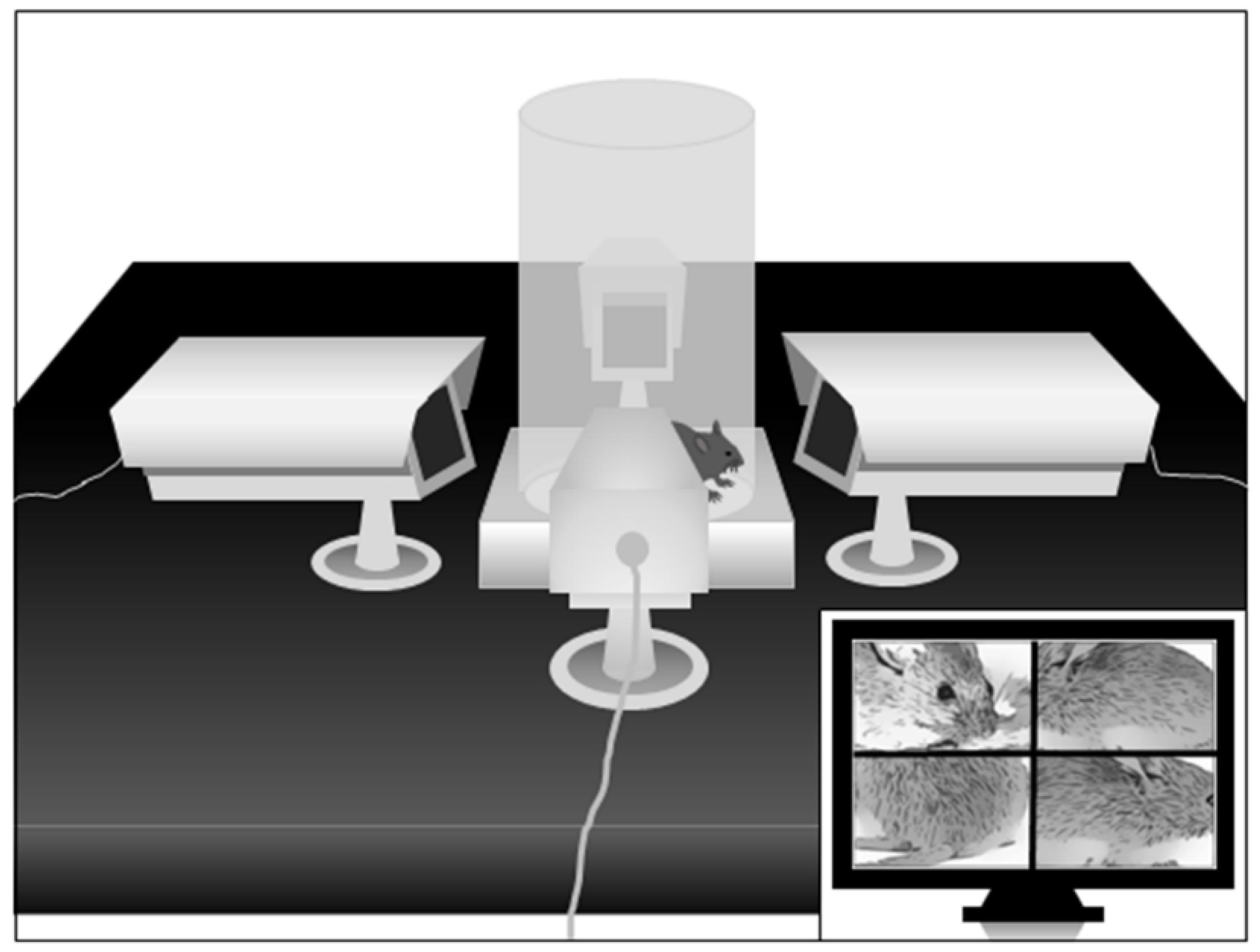 Biomolecules 11 00175 g002 Biomolecules 11 00175 g002