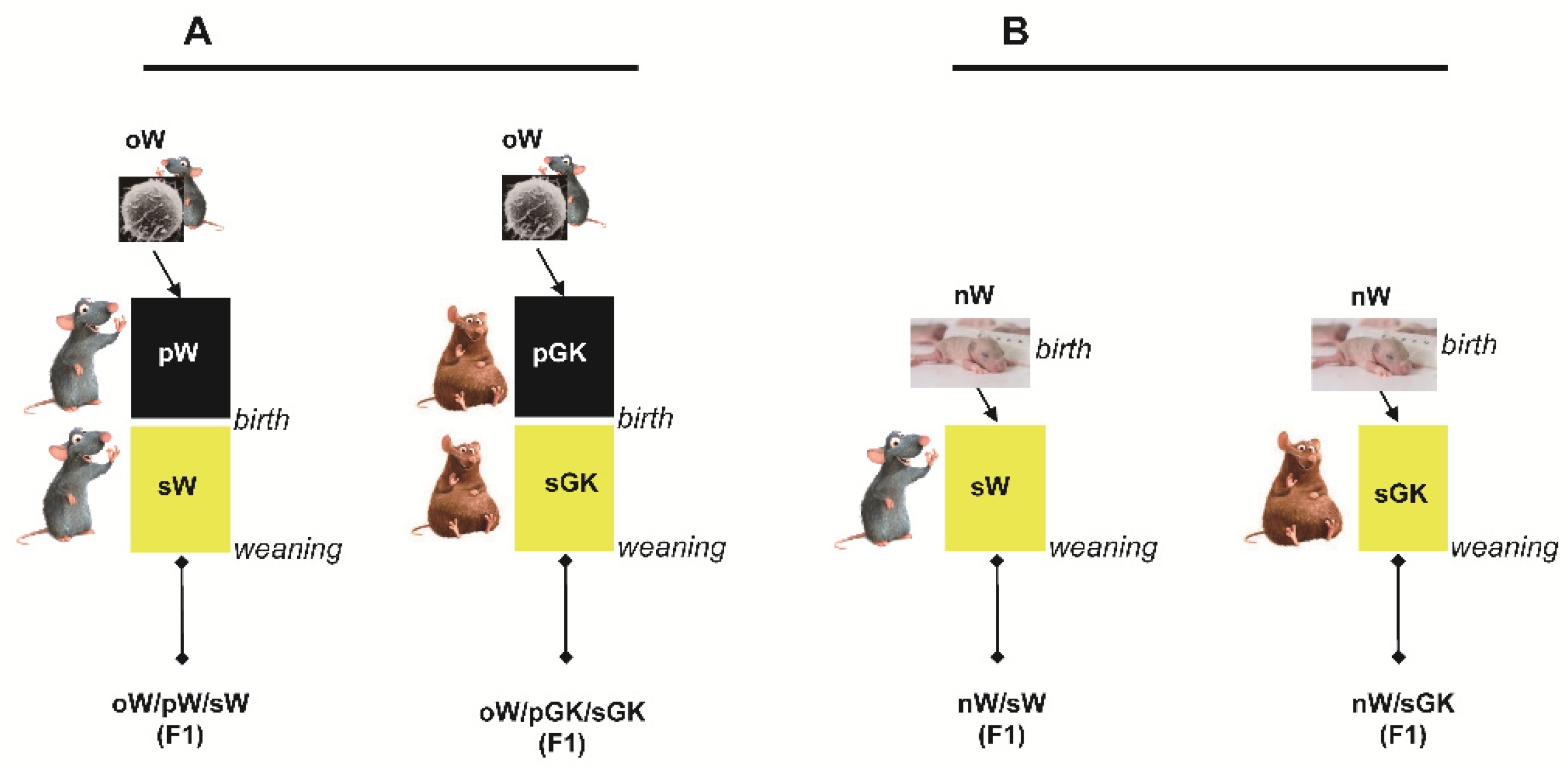 Biomolecules 11 00179 g001