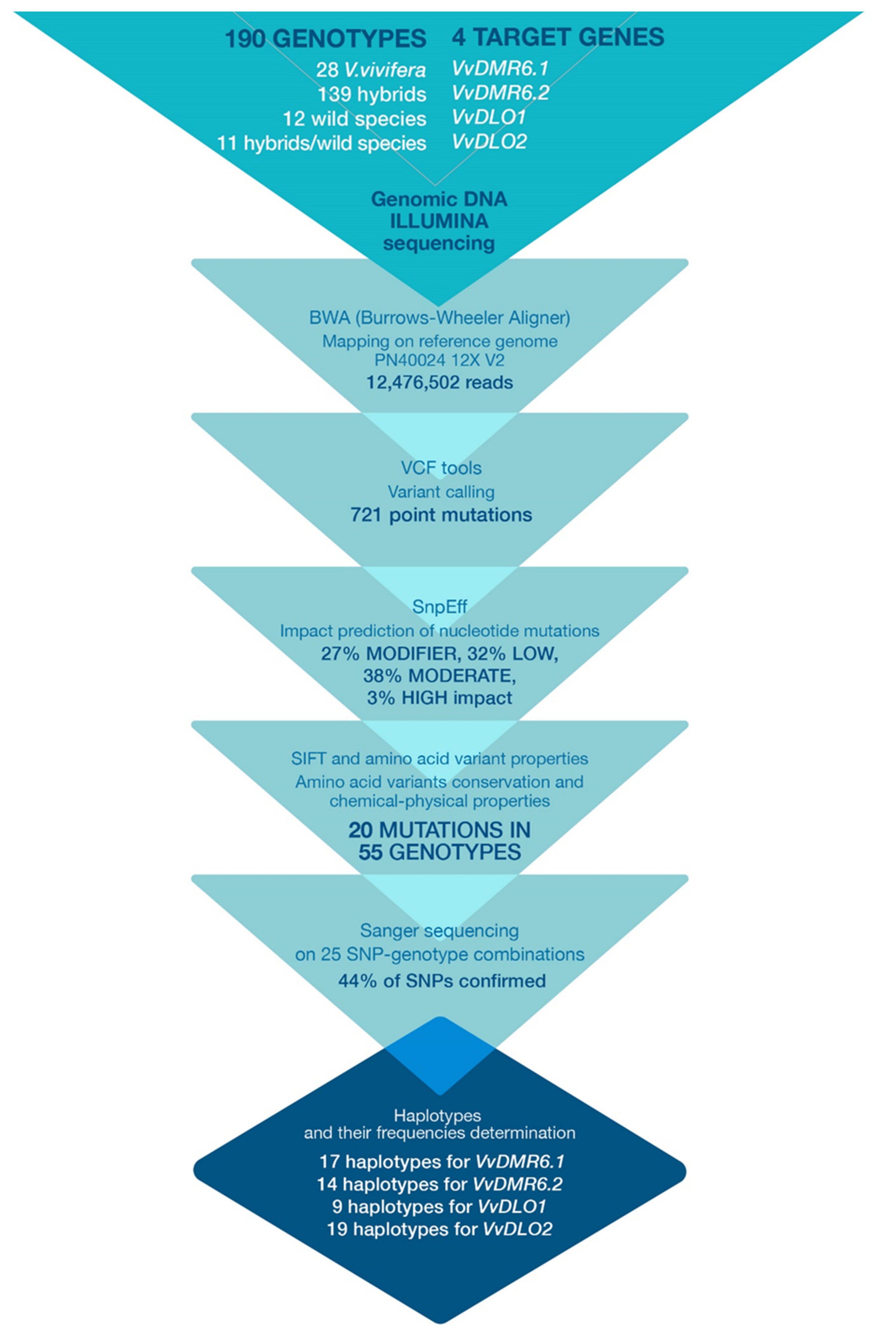 Biomolecules 11 00181 g001 Biomolecules 11 00181 g001