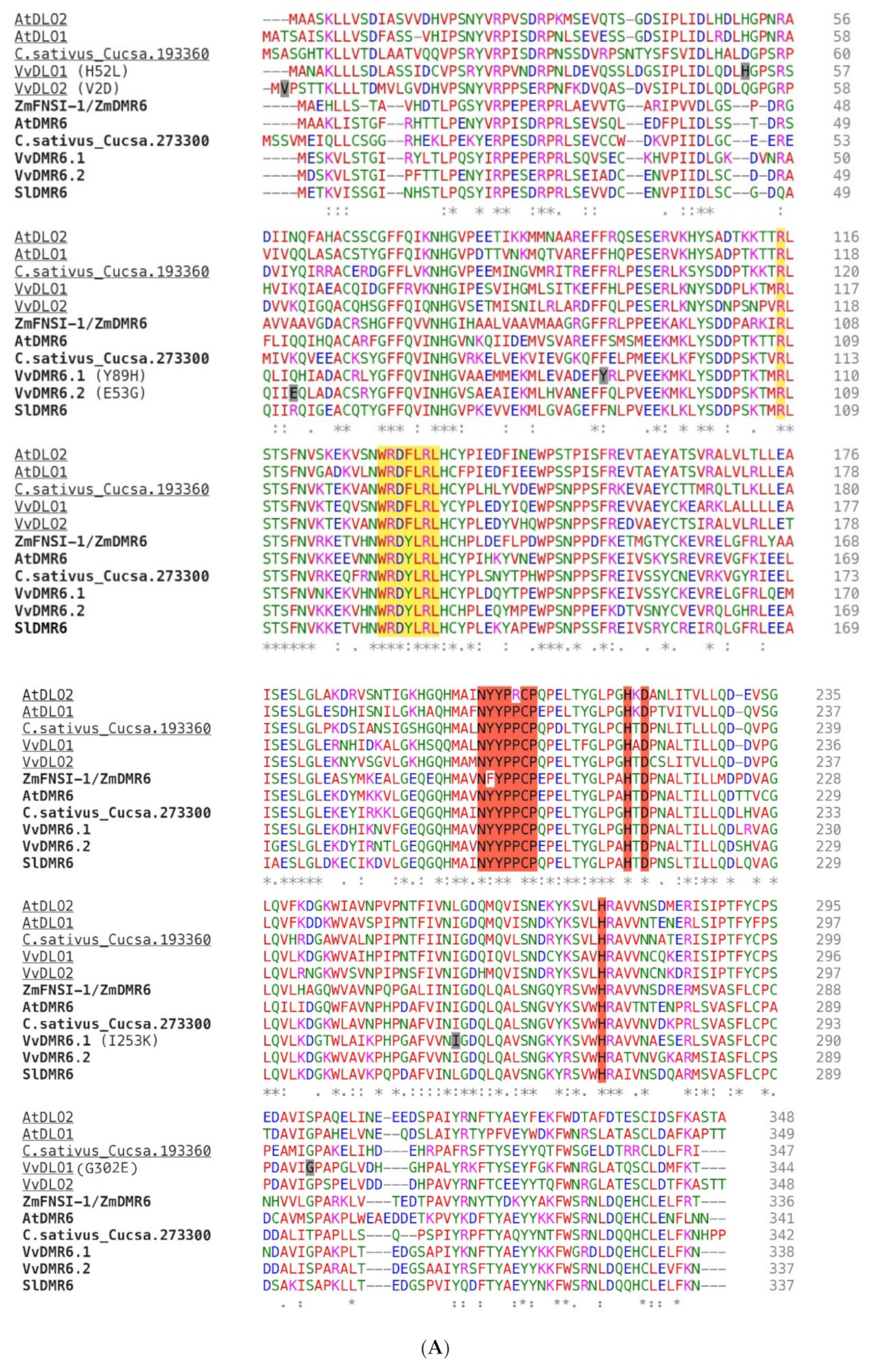 Biomolecules 11 00181 g002a Biomolecules 11 00181 g002a