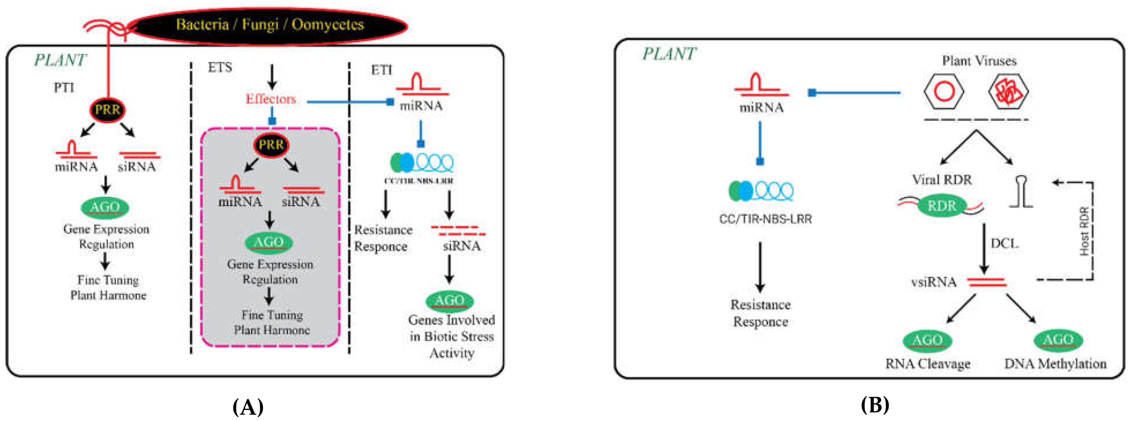 Biomolecules 11 00184 g004