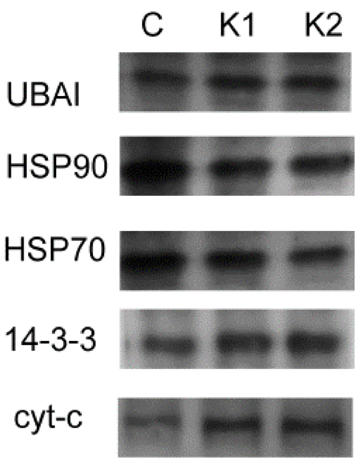 Biomolecules 11 00187 g001 Biomolecules 11 00187 g001