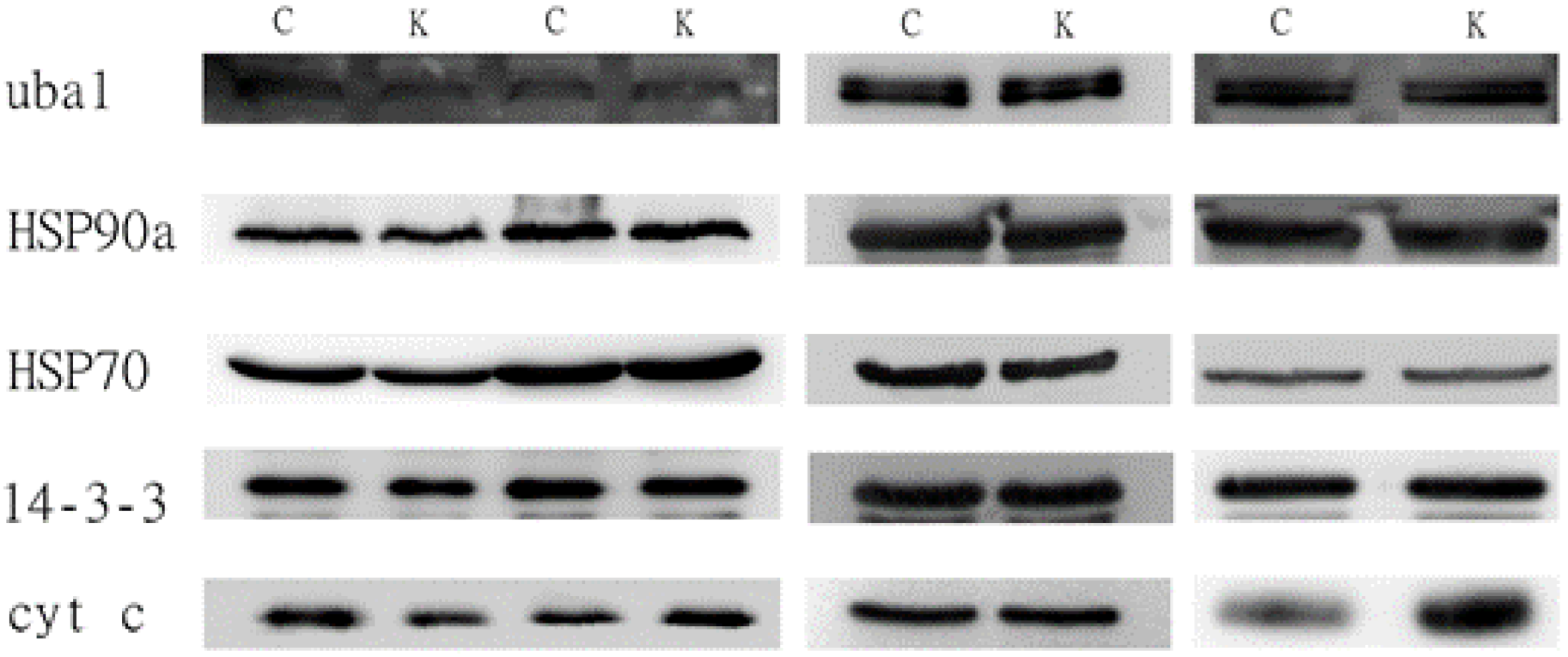Biomolecules 11 00187 g002 Biomolecules 11 00187 g002