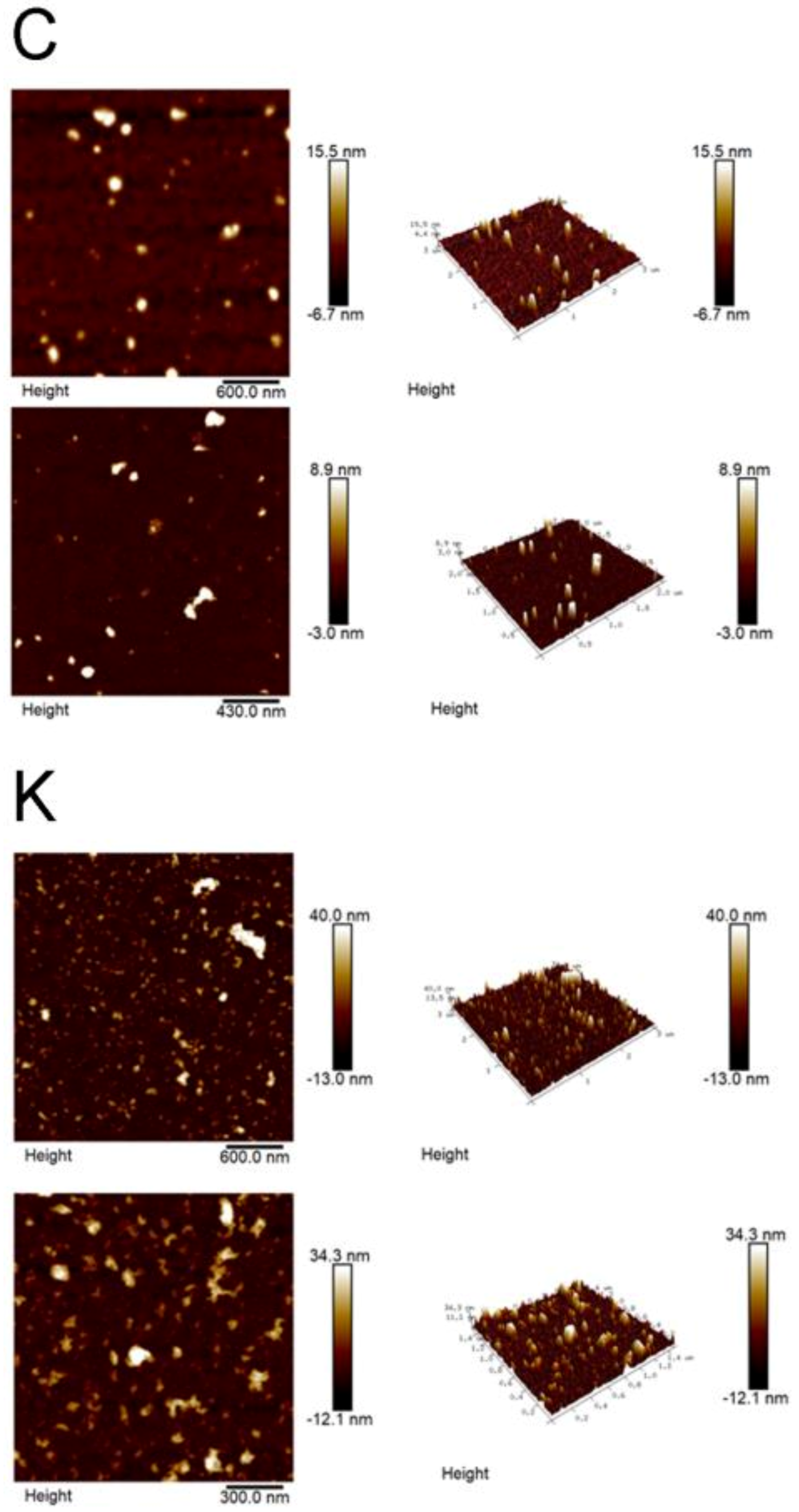 Biomolecules 11 00187 g004 Biomolecules 11 00187 g004