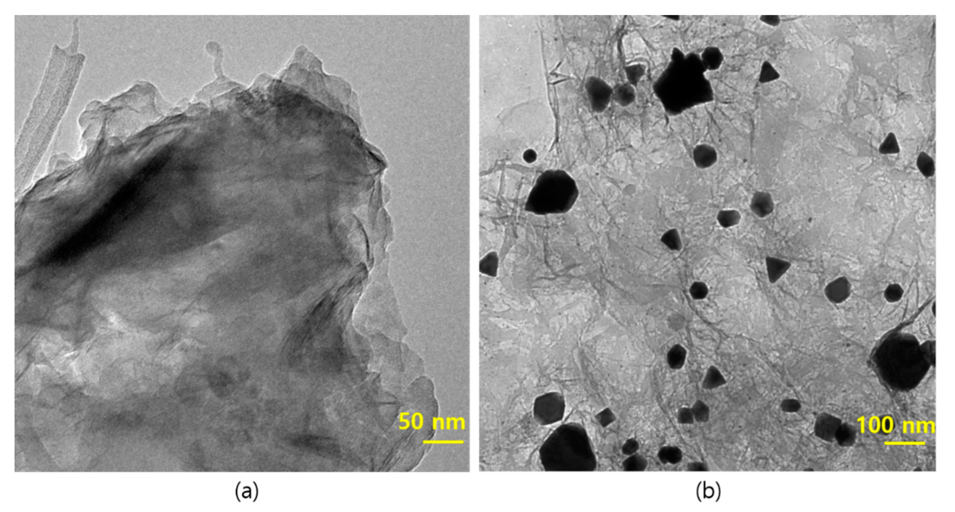 Biomolecules 11 00190 g005 Biomolecules 11 00190 g005