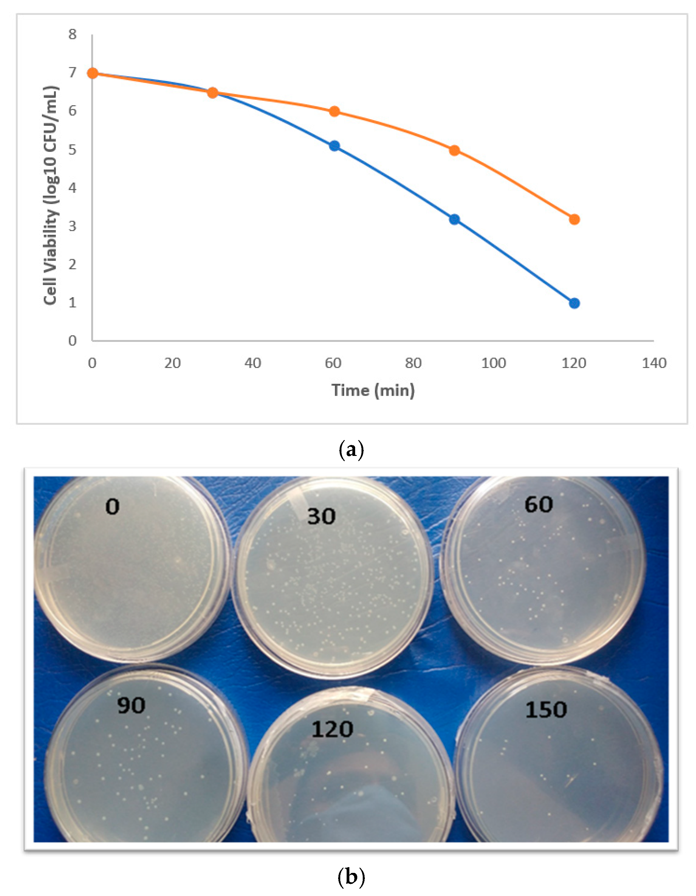 Biomolecules 11 00190 g009 Biomolecules 11 00190 g009