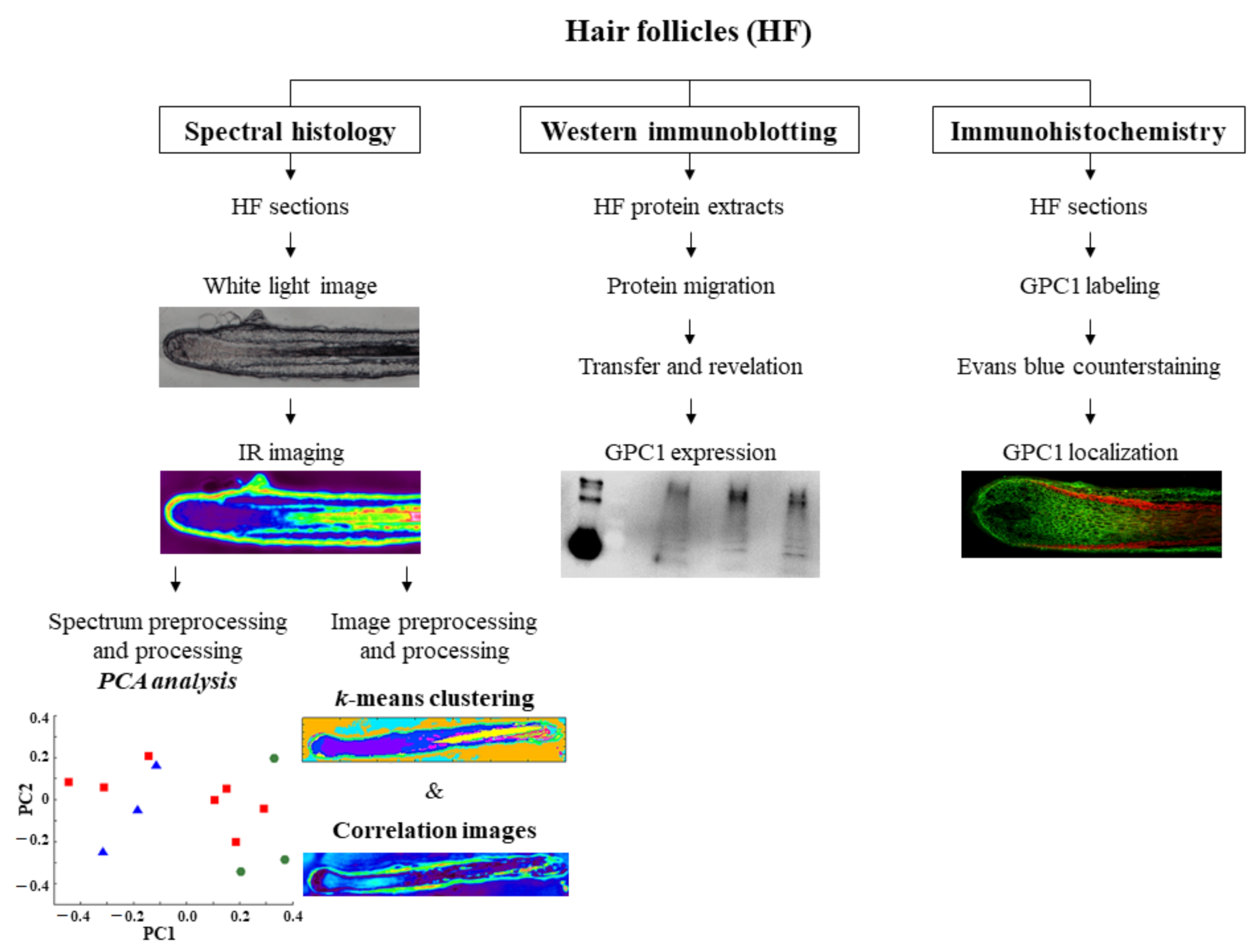 Biomolecules 11 00192 g001