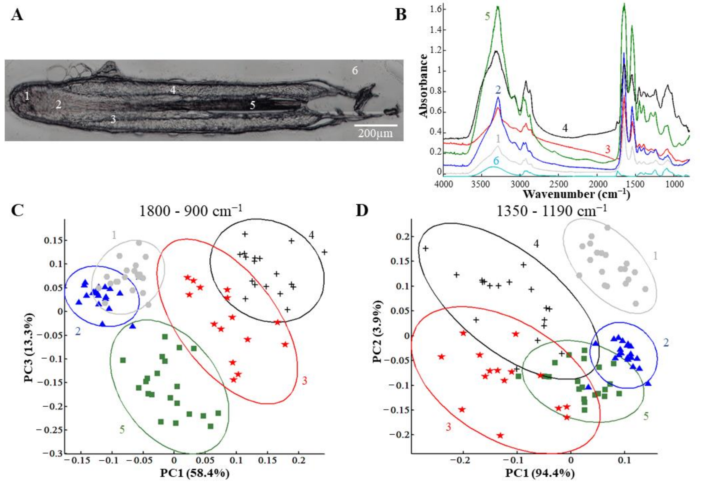 Biomolecules 11 00192 g002