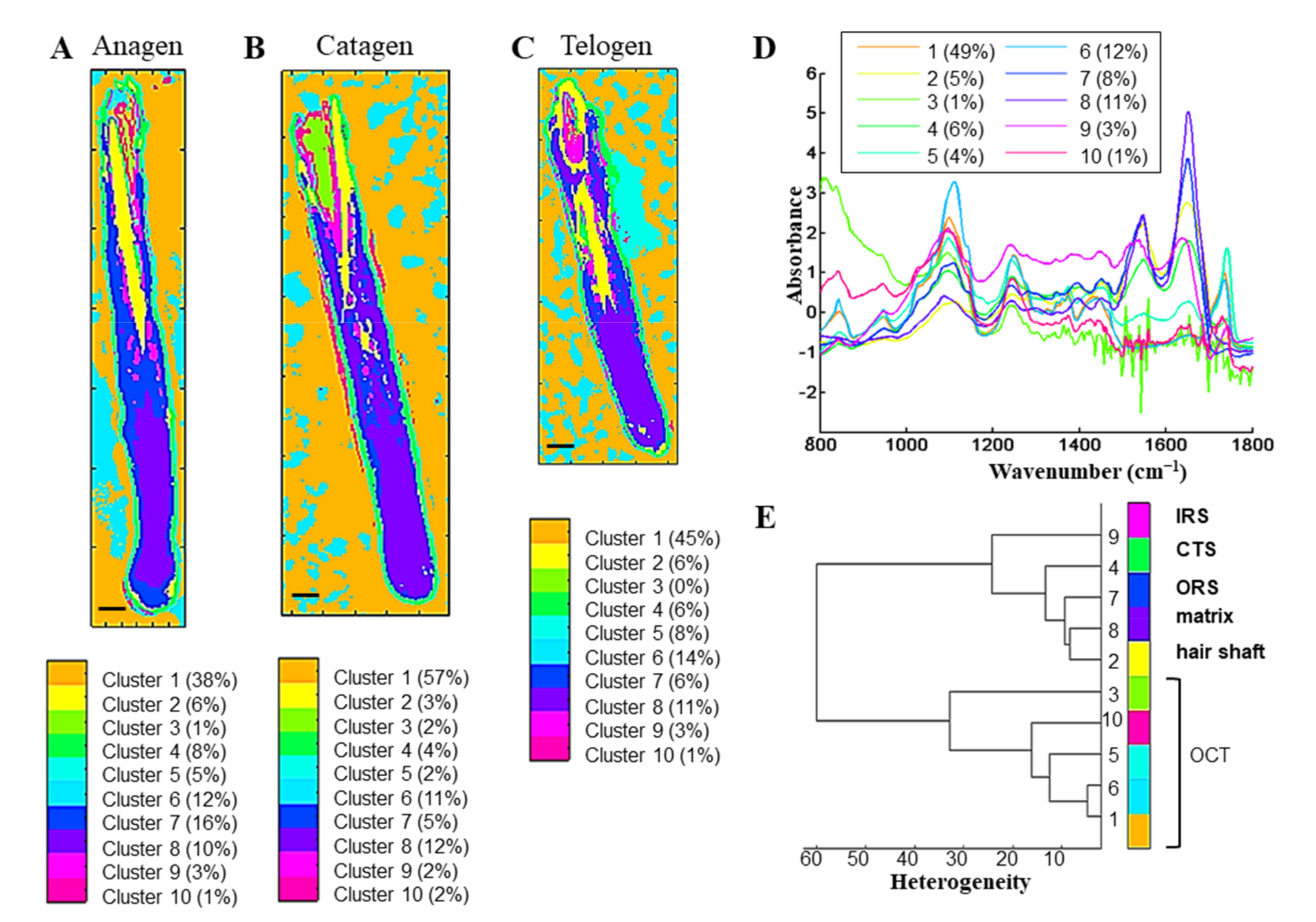 Biomolecules 11 00192 g004