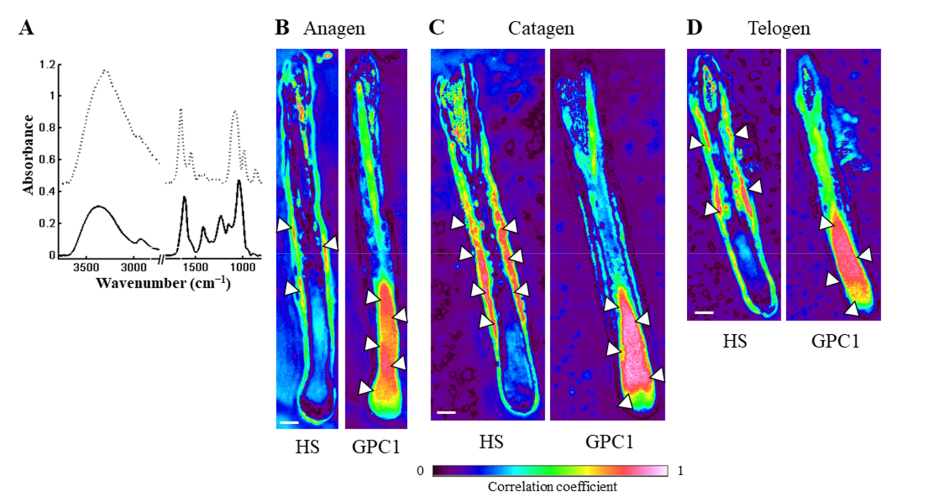 Biomolecules 11 00192 g005