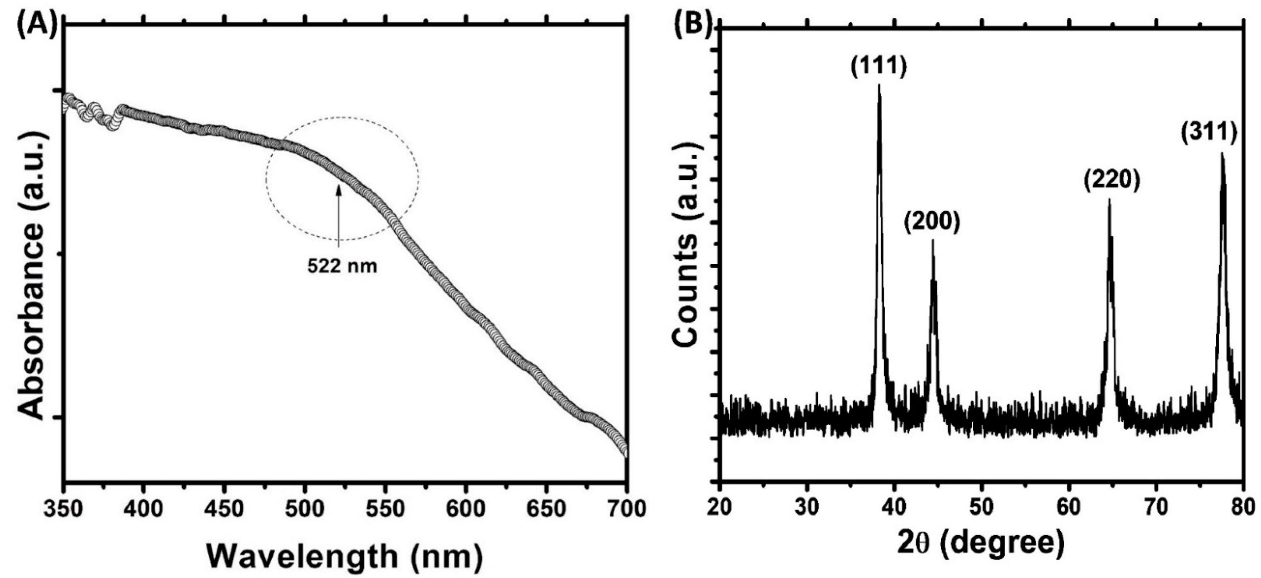 Biomolecules 11 00197 g001