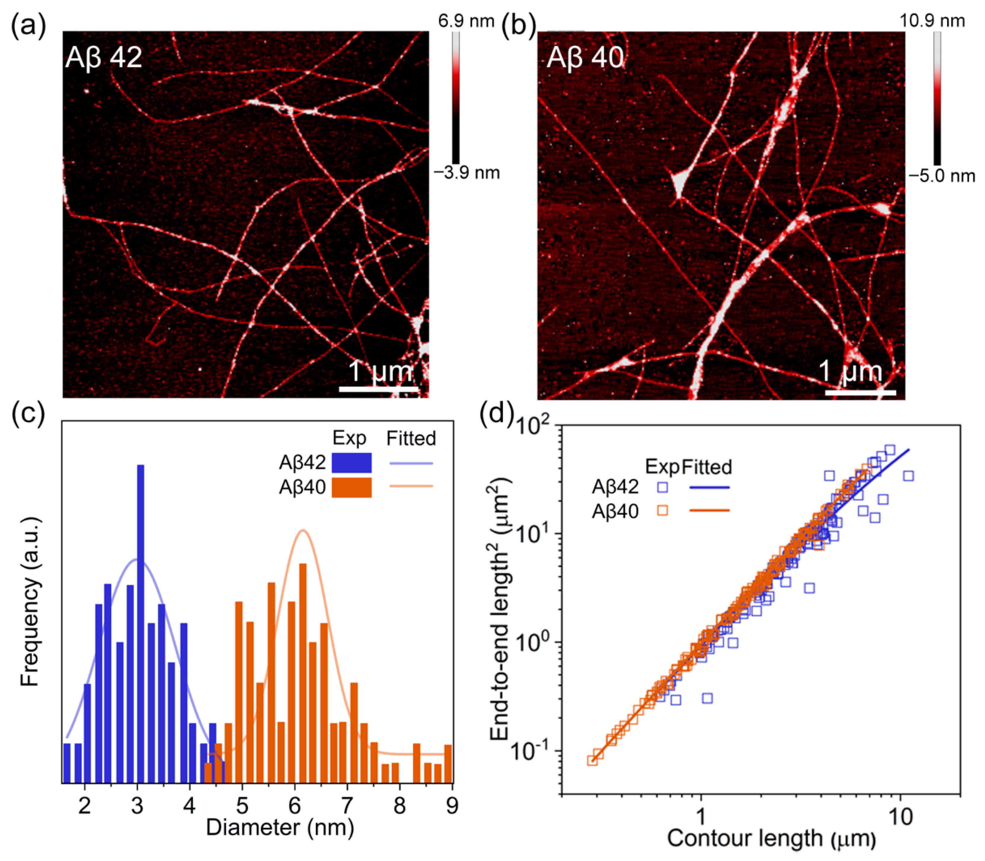 Biomolecules 11 00198 g004 Biomolecules 11 00198 g004